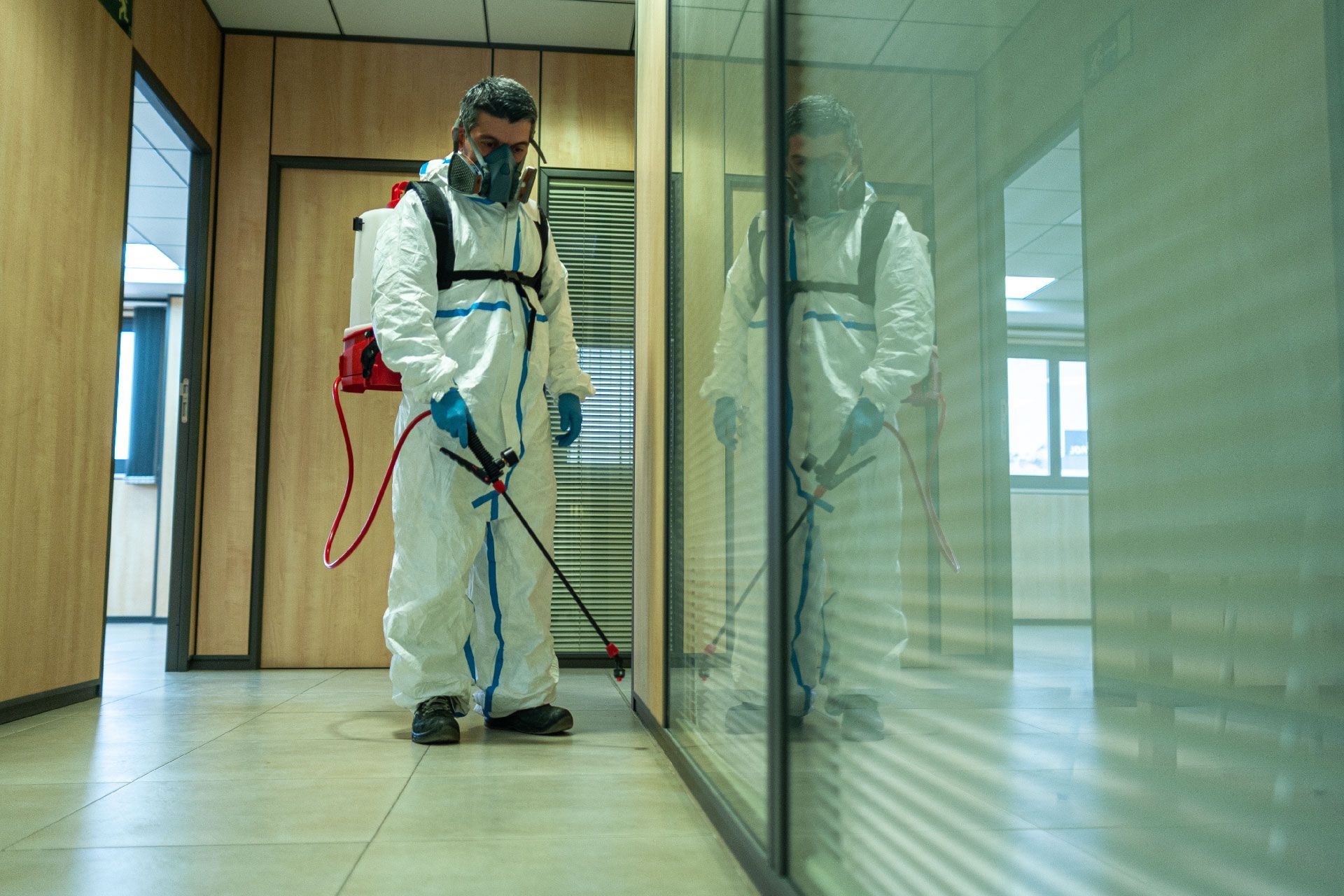 ALEMANA DE FUMIGACIONES CENTRAL DE SANEAMIENTO SAS