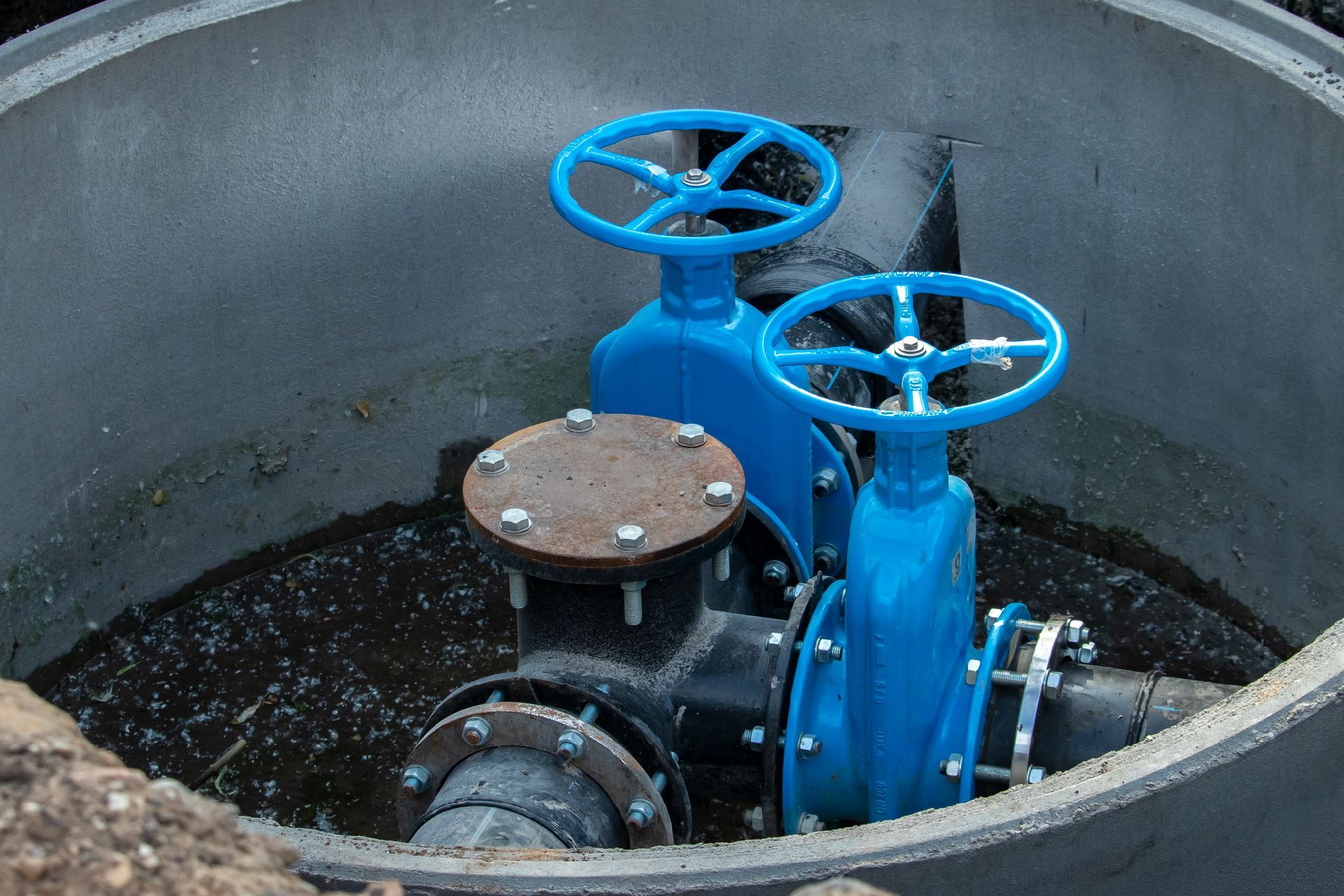 ALEMANA DE FUMIGACIONES CENTRAL DE SANEAMIENTO SAS