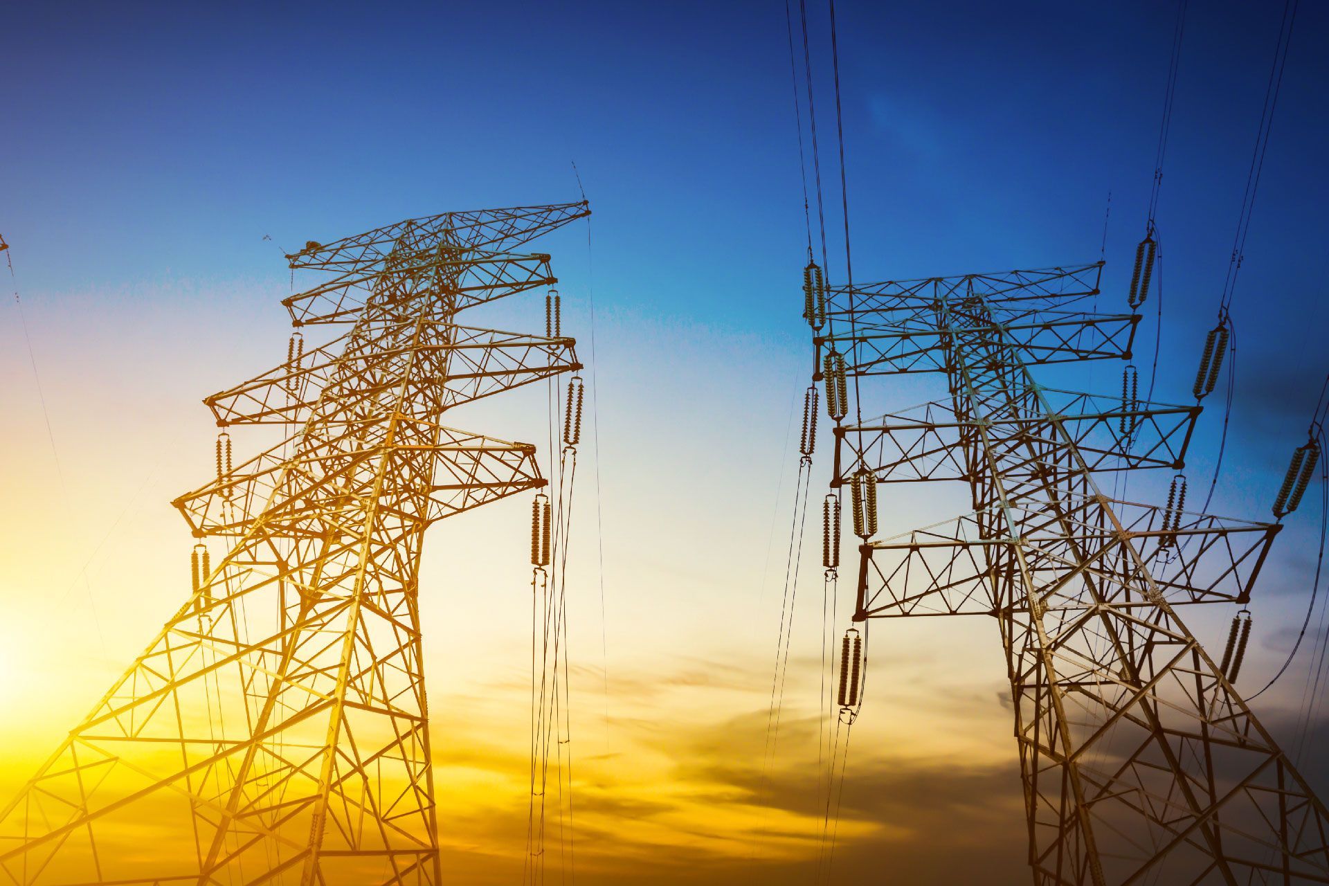 ALEMANA DE FUMIGACIONES CENTRAL DE SANEAMIENTO SAS