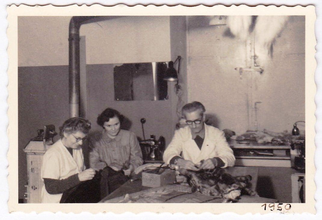 Unternehmensbild - Geschichte der Firma