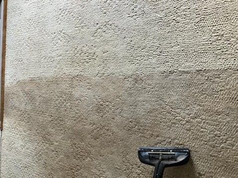 Carpet being cleaned; showing a distinct line between dirty and cleaned sections.