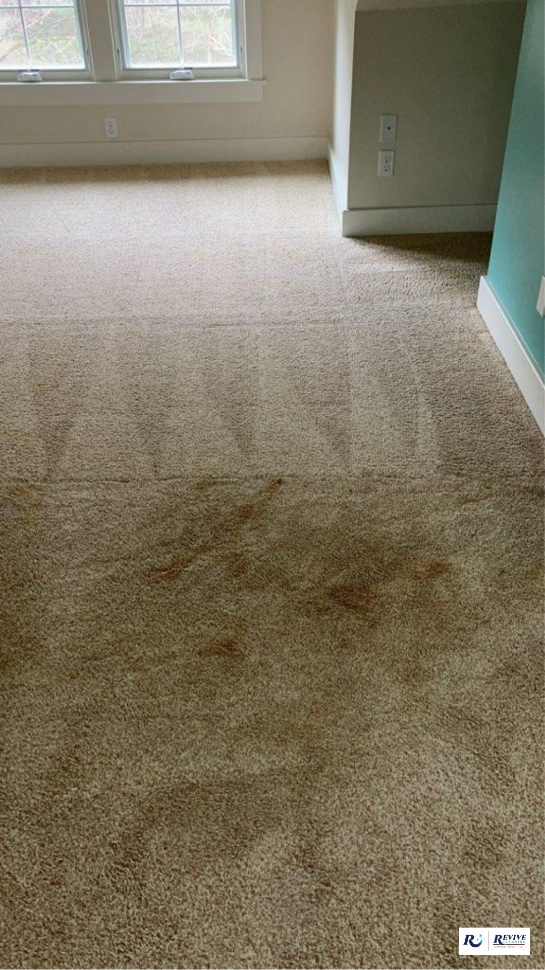 Beige carpet in a room with a window, baseboards, and a blue wall.