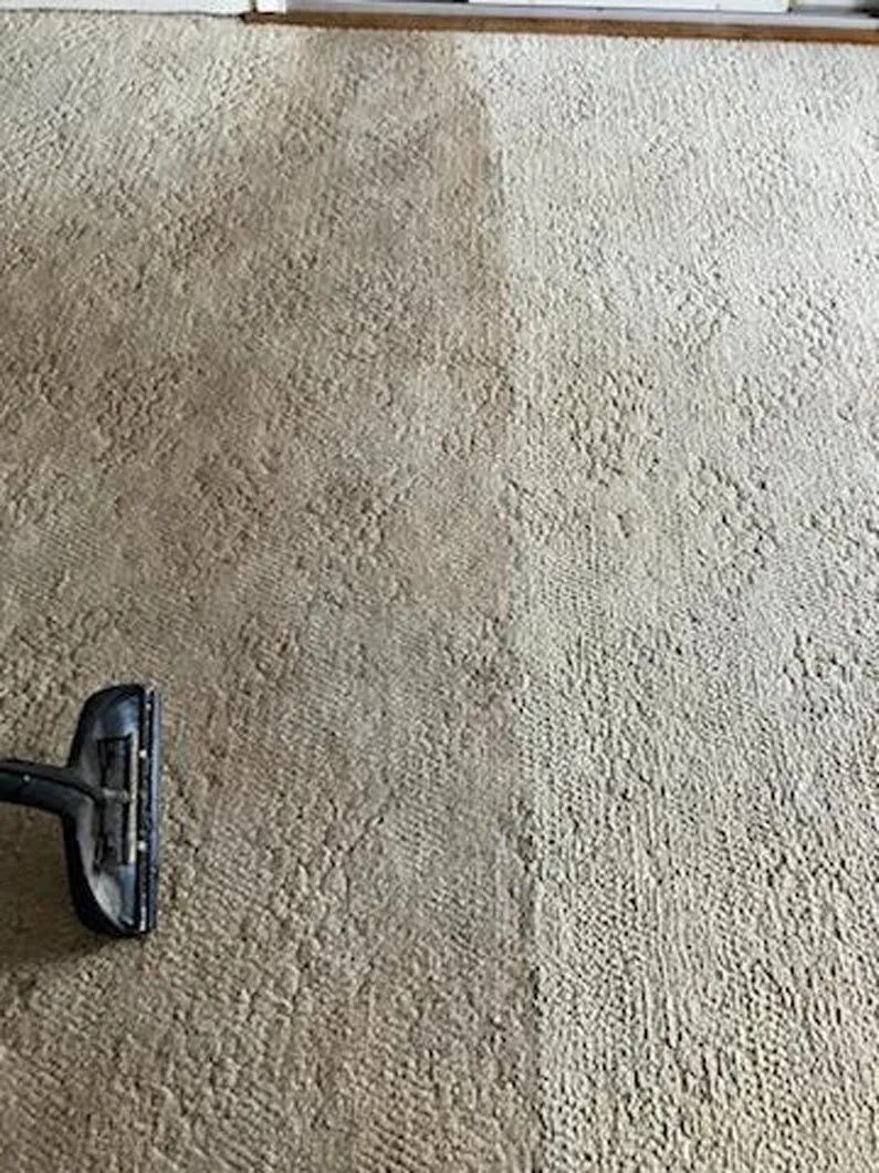 Carpet being cleaned; one half shows a dirty, stained appearance, and the other half is cleaned.