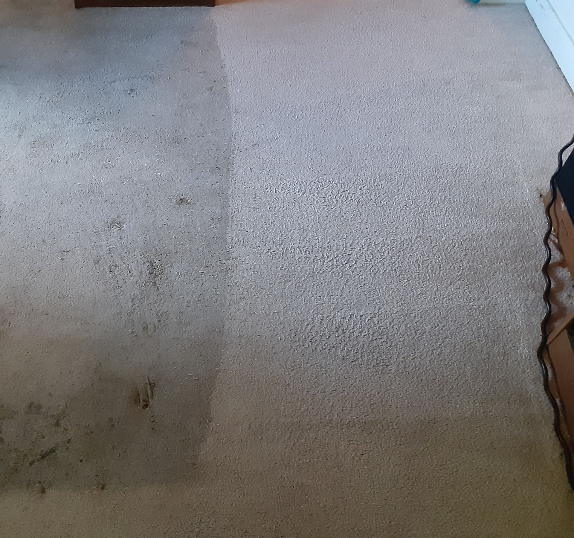 Carpet before and after cleaning: Half of a beige carpet is dirty, the other half is clean.