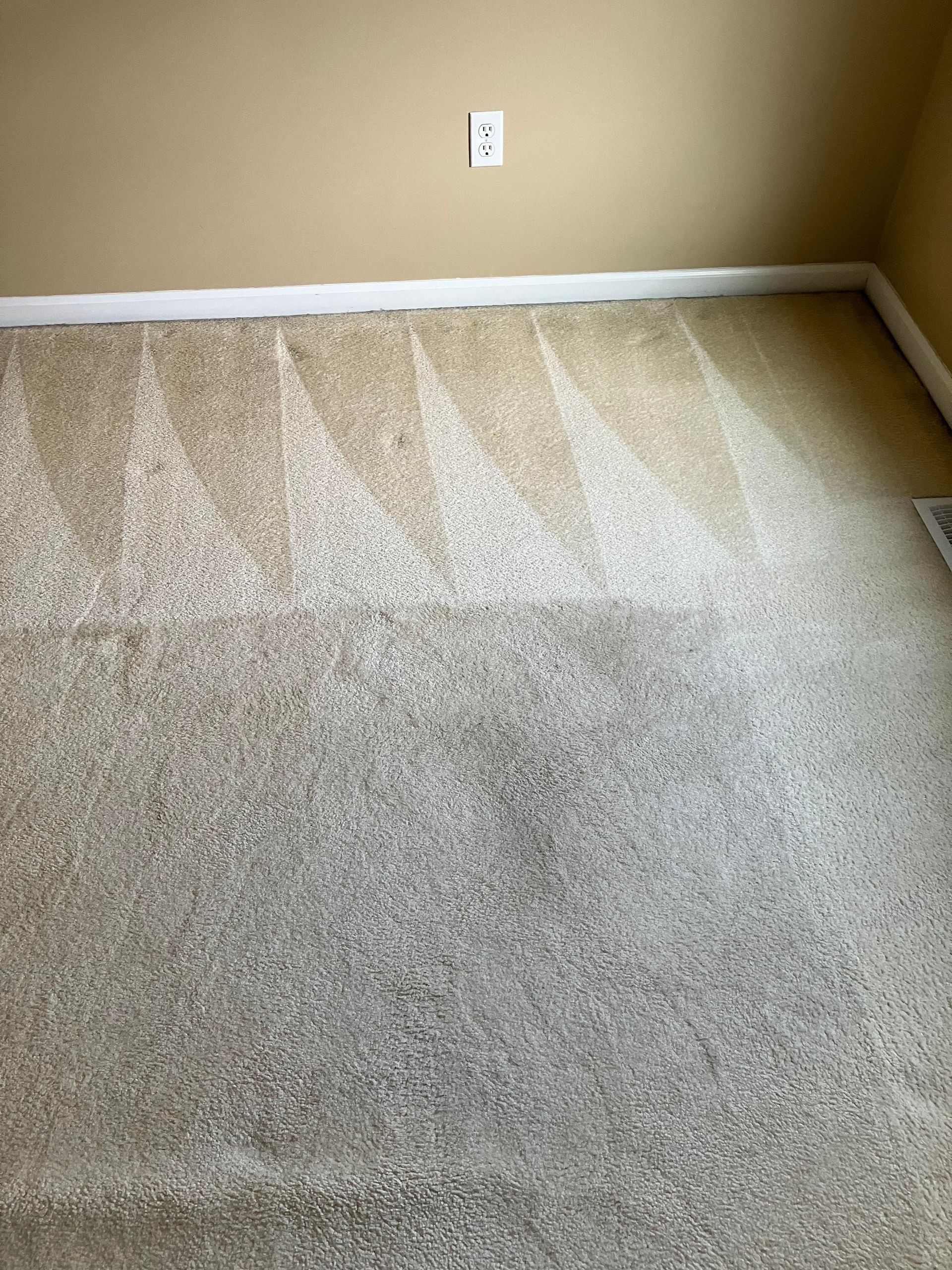 Beige carpeted floor with clean streaks, next to a beige wall with a power outlet.