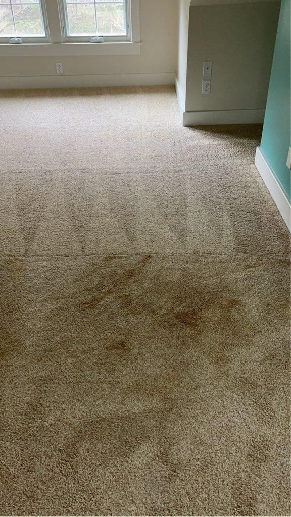 Beige carpet in a room with white trim, windows, and a teal accent wall.