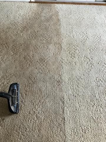 Carpet being cleaned; a dirty portion contrasts with a clean, light portion next to the cleaning device.