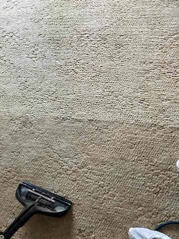 Carpet being cleaned; a section is clean, showing a contrast with the dirty section, and a cleaning tool.