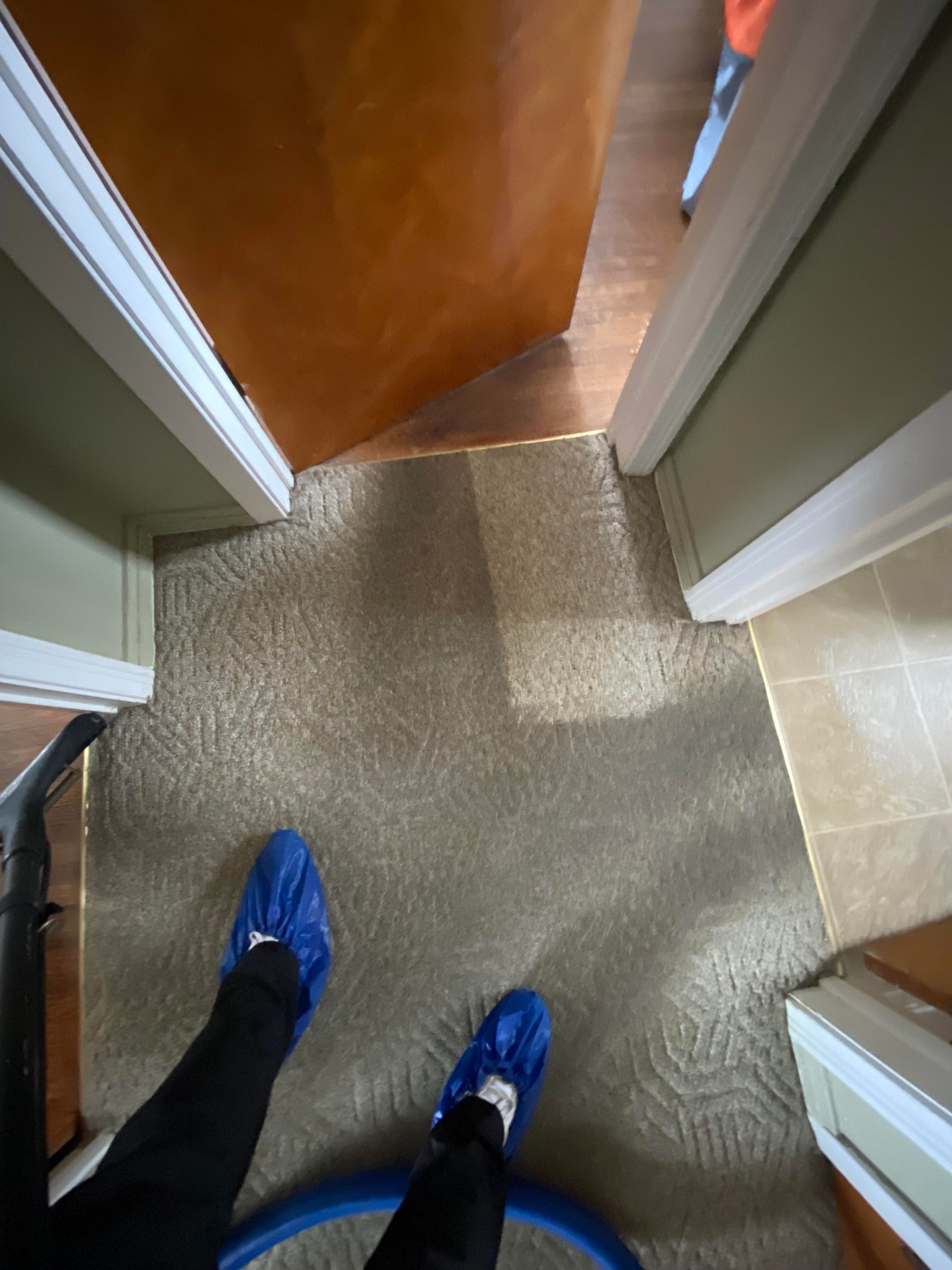 Carpet being cleaned in a hallway; person in blue shoe covers stands over the carpet.