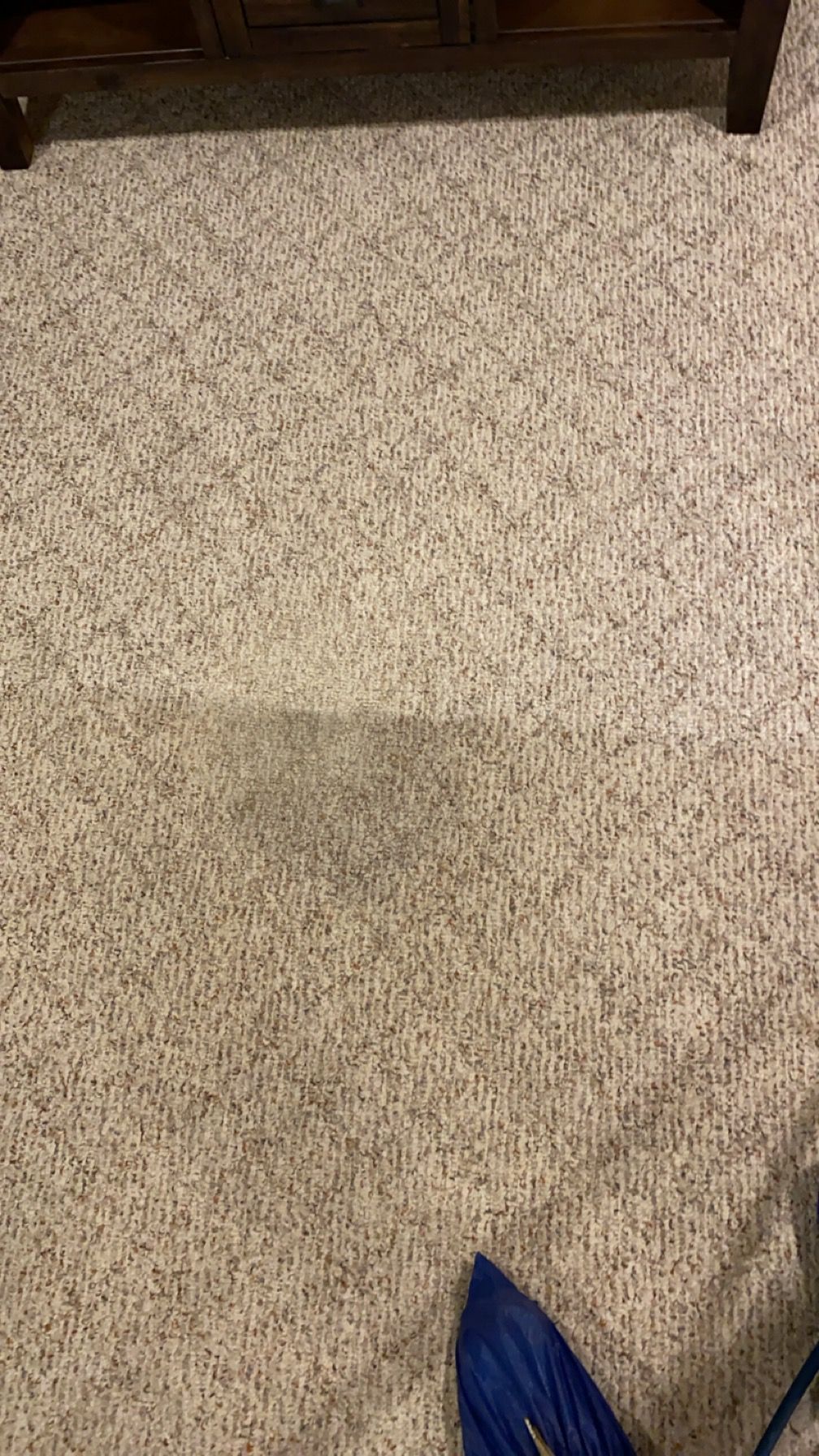 Brown carpet with a dark wooden furniture piece at the top and a blue object at the bottom.