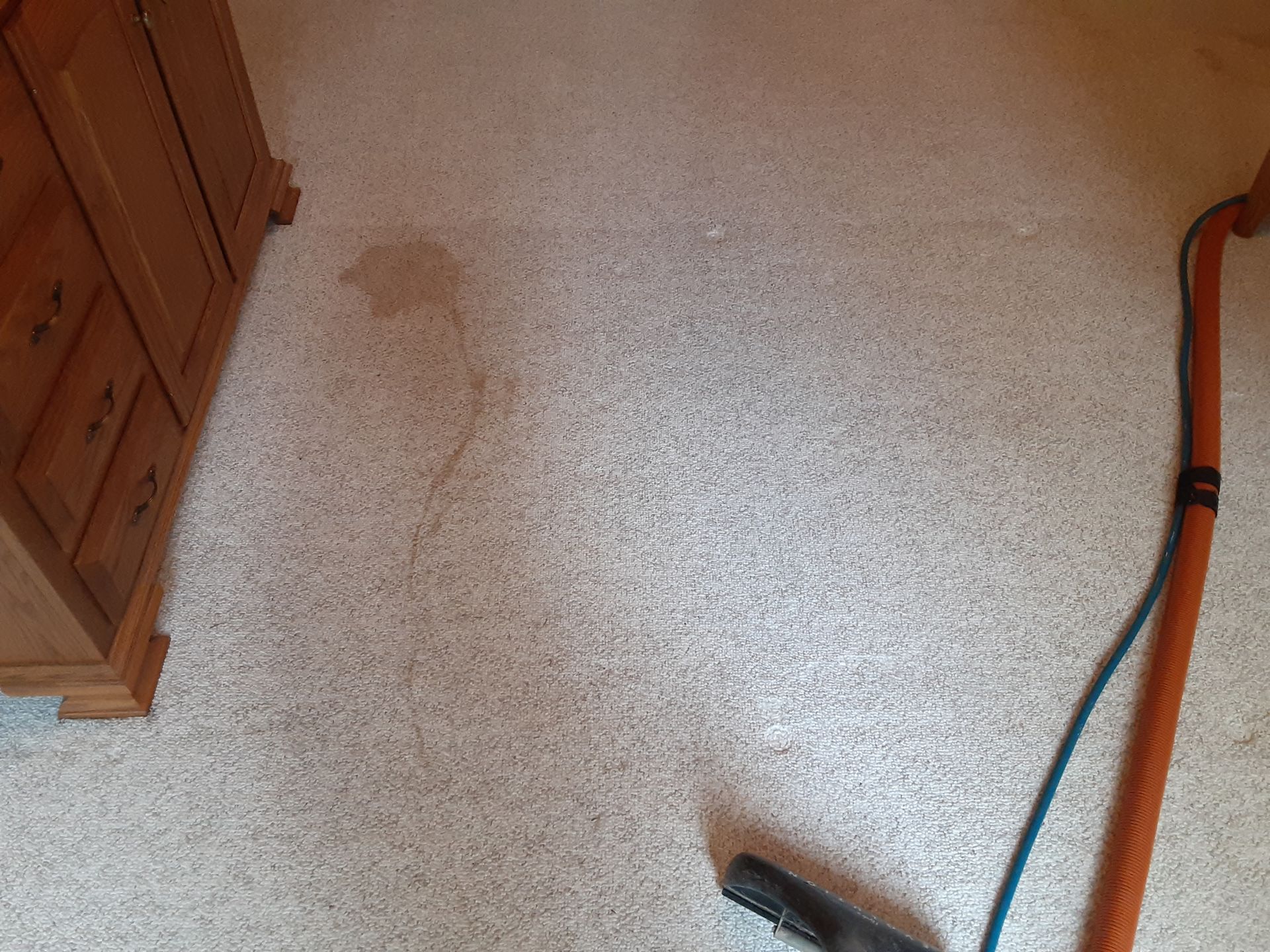 Carpet being cleaned with a hose near a wooden cabinet; a stain is visible on the carpet.