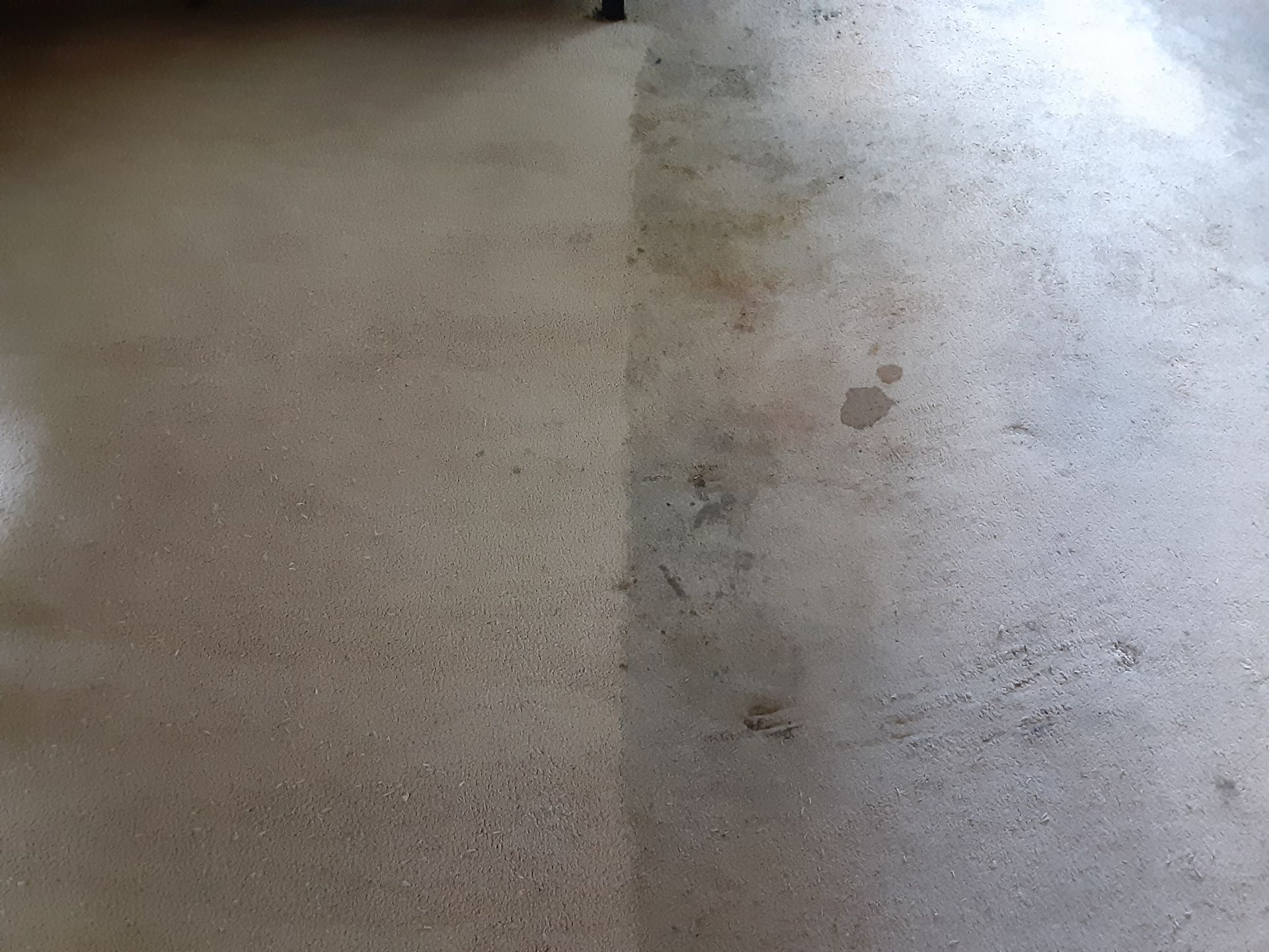 Concrete floor, half cleaned, showing a contrast between dirty and clean sections.