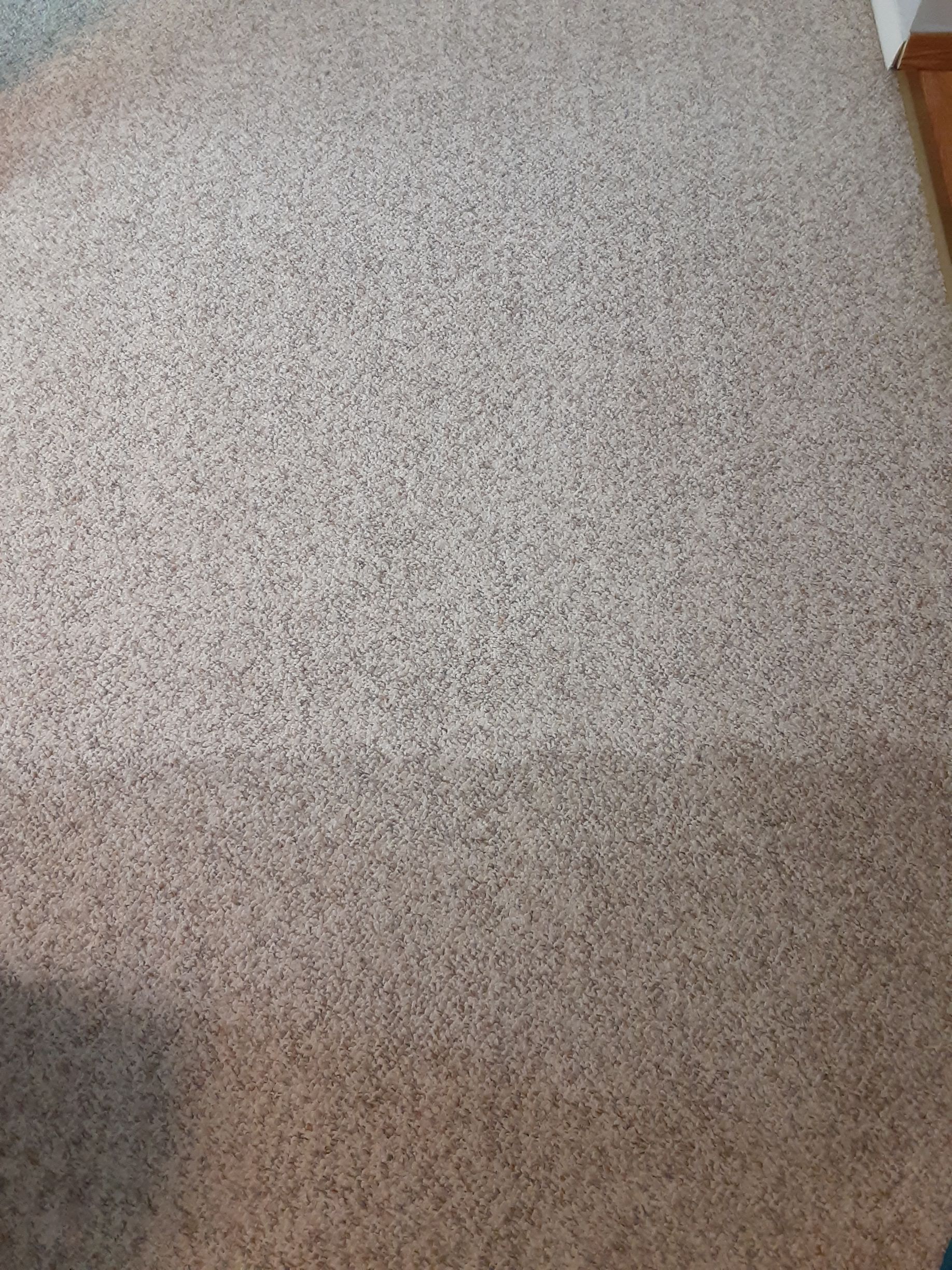 Light beige carpet with a speckled pattern.