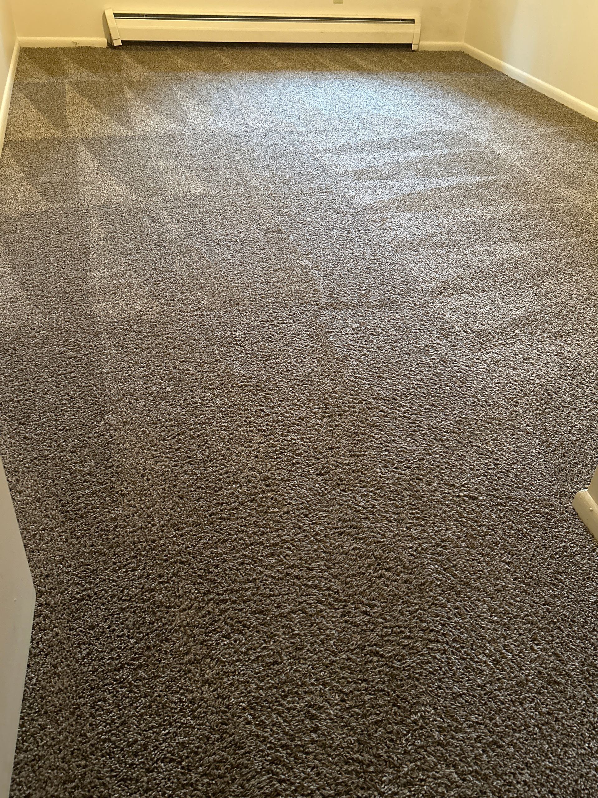 A room with freshly cleaned brown carpet, with a heater at one end.