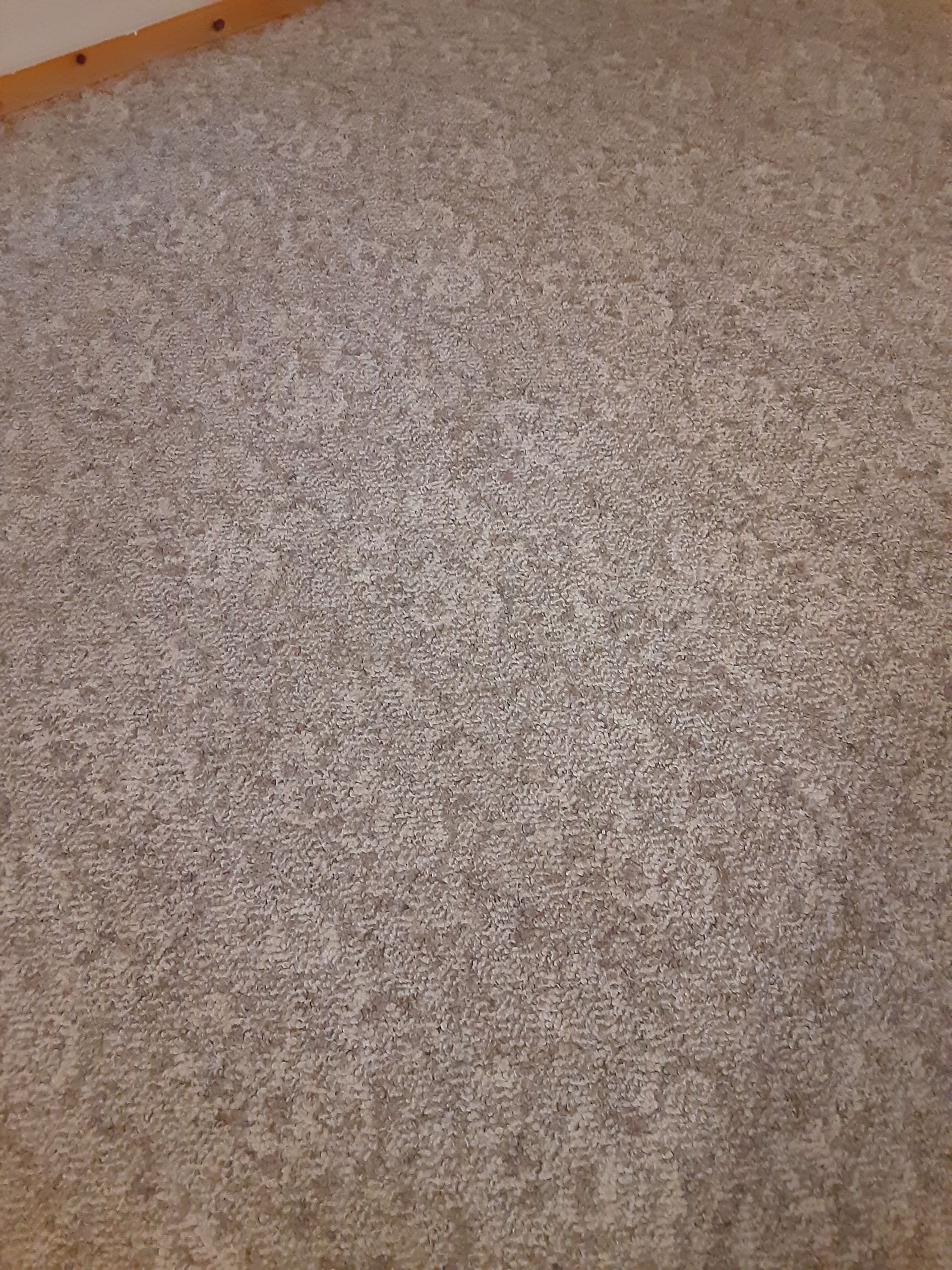 Gray patterned carpet.