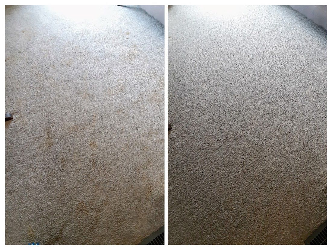Comparison of carpet before and after cleaning, showing noticeable improvement.