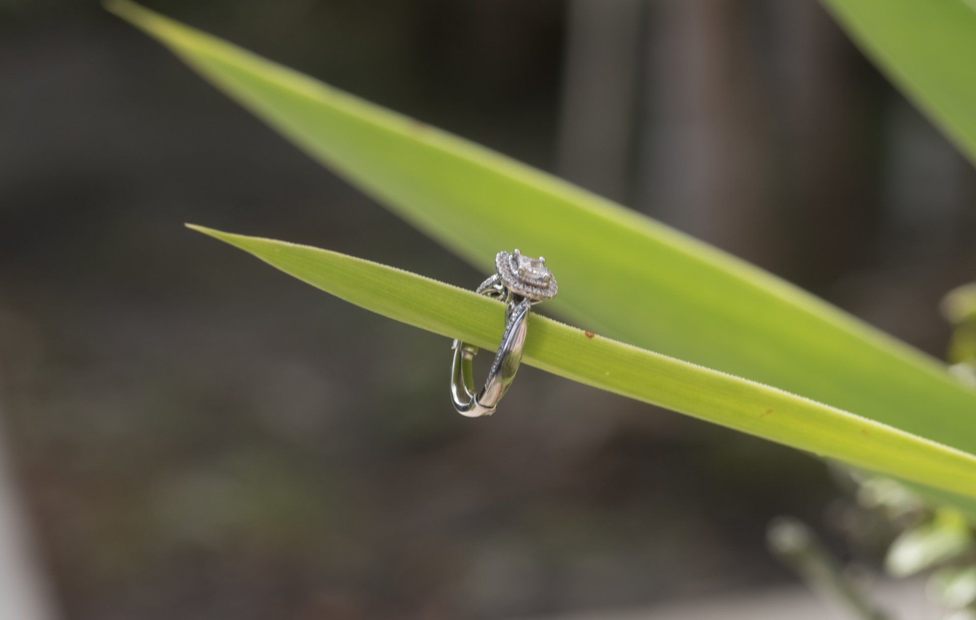 A diamond ring is sitting on a green leaf.