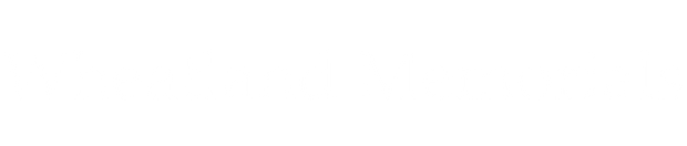 A white background with a few lines on it