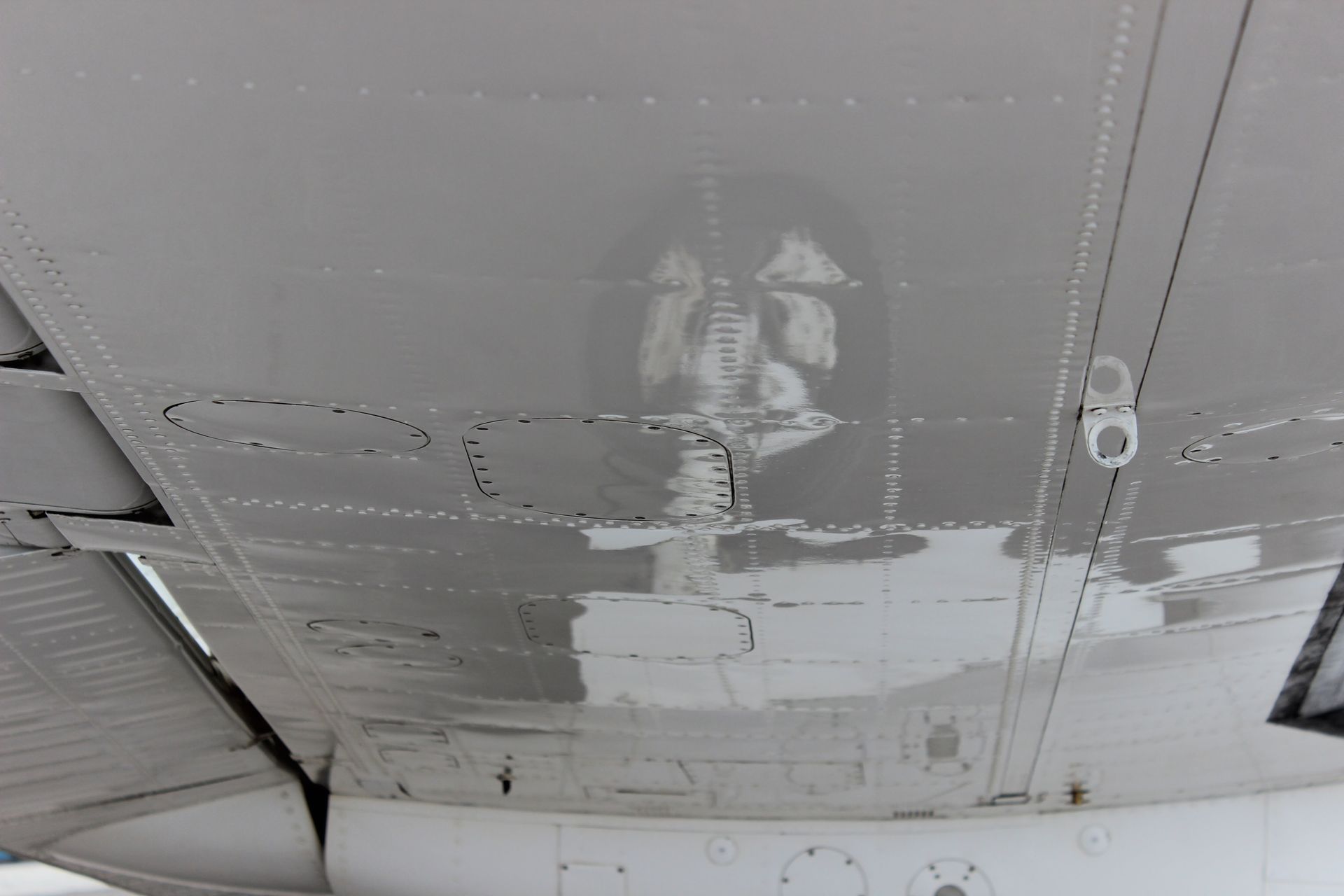 Underside of an airplane wing showing wear and patches; gray and white with rivets and panel lines.