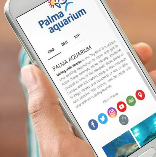 A person is holding a cell phone that says palma aquarium