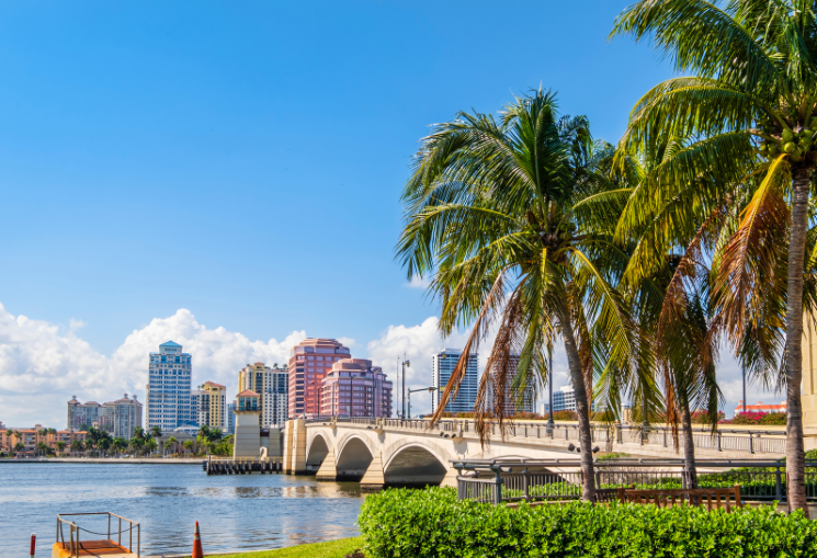 BUMP WELLNESS PALM BEACH