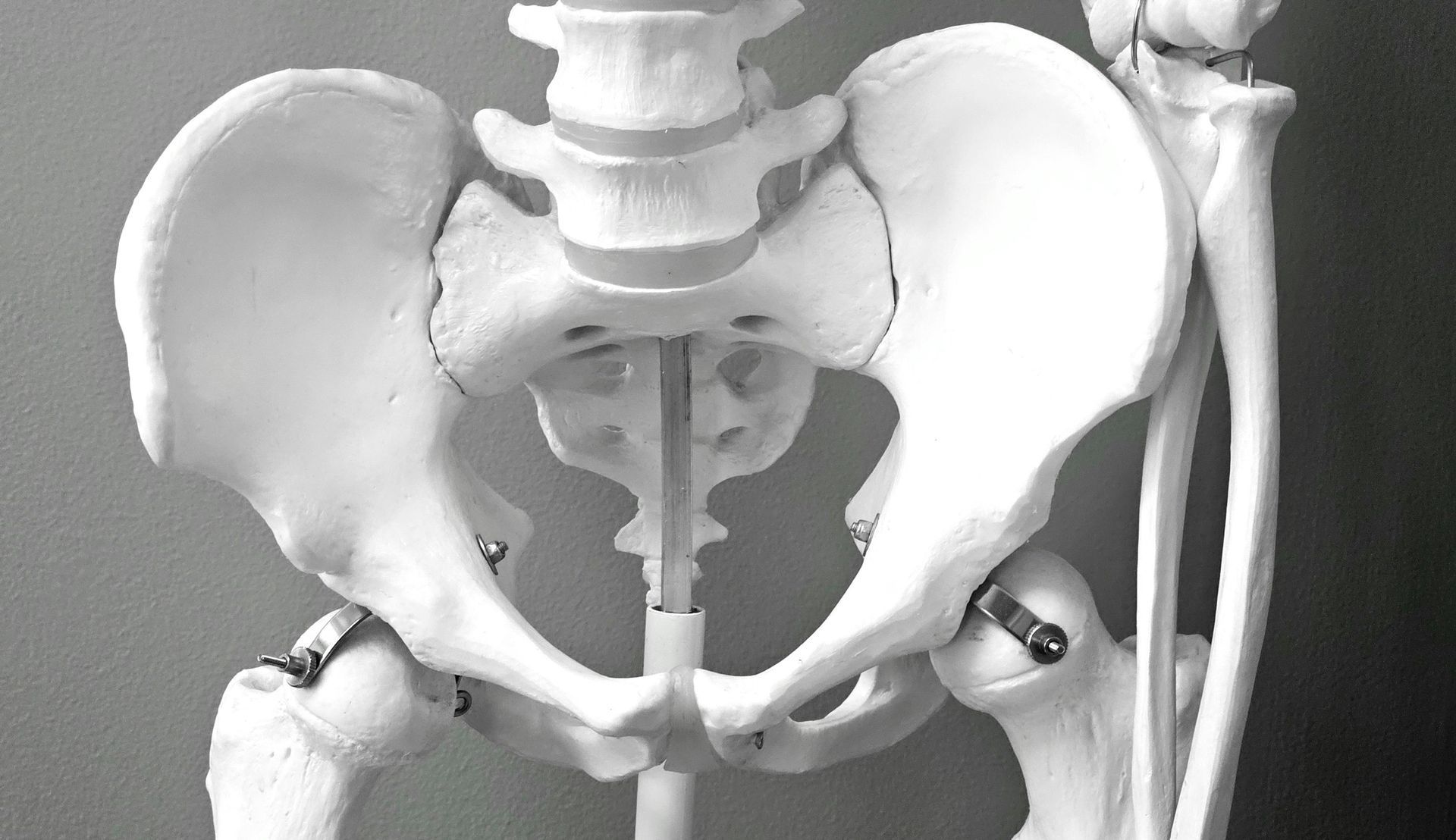 Pelvic Floor