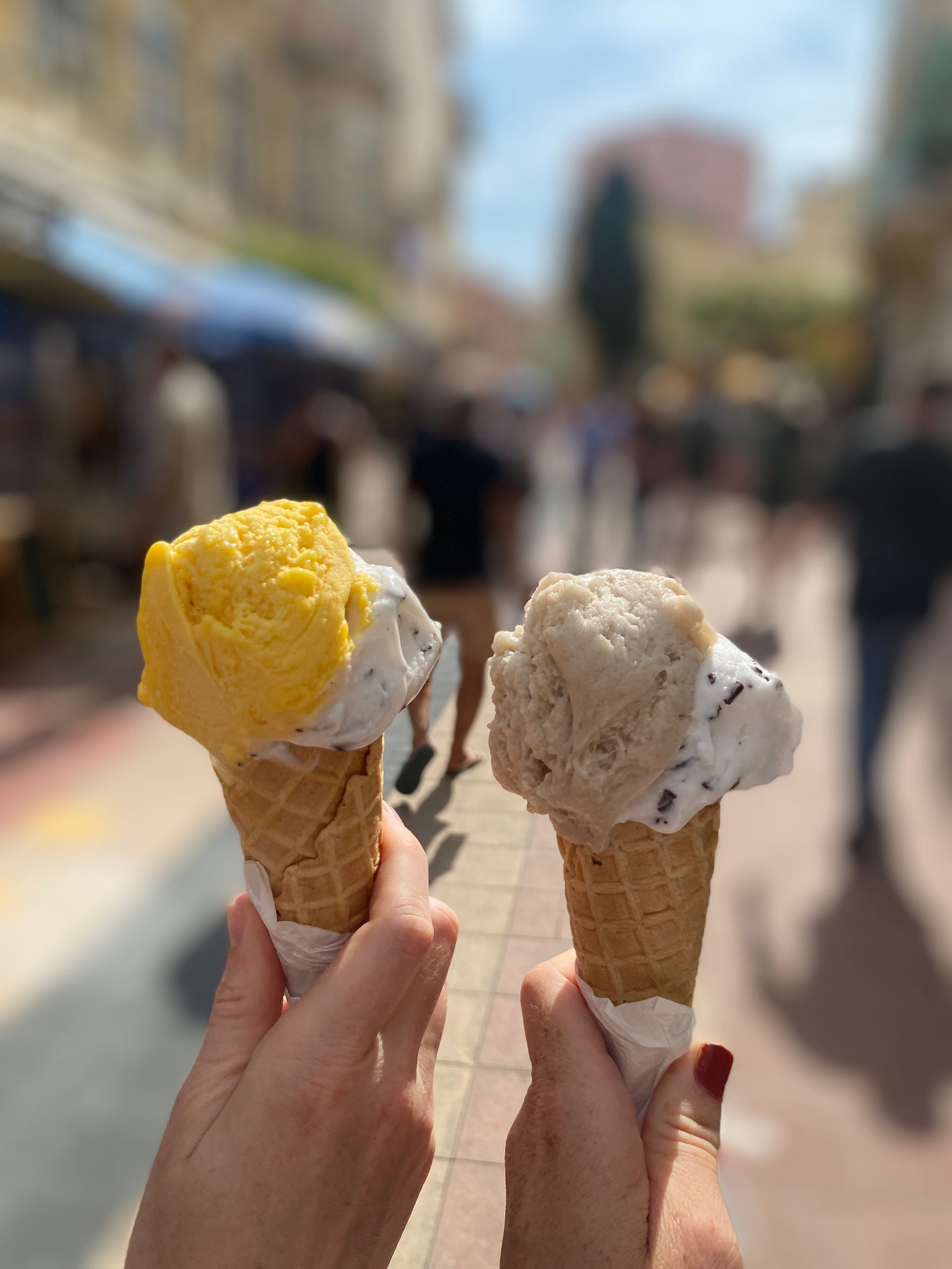 Met de trein op vakantie | Cote d'Azur | Menton | Met de trein naar Frankrijk | Groene Dromers