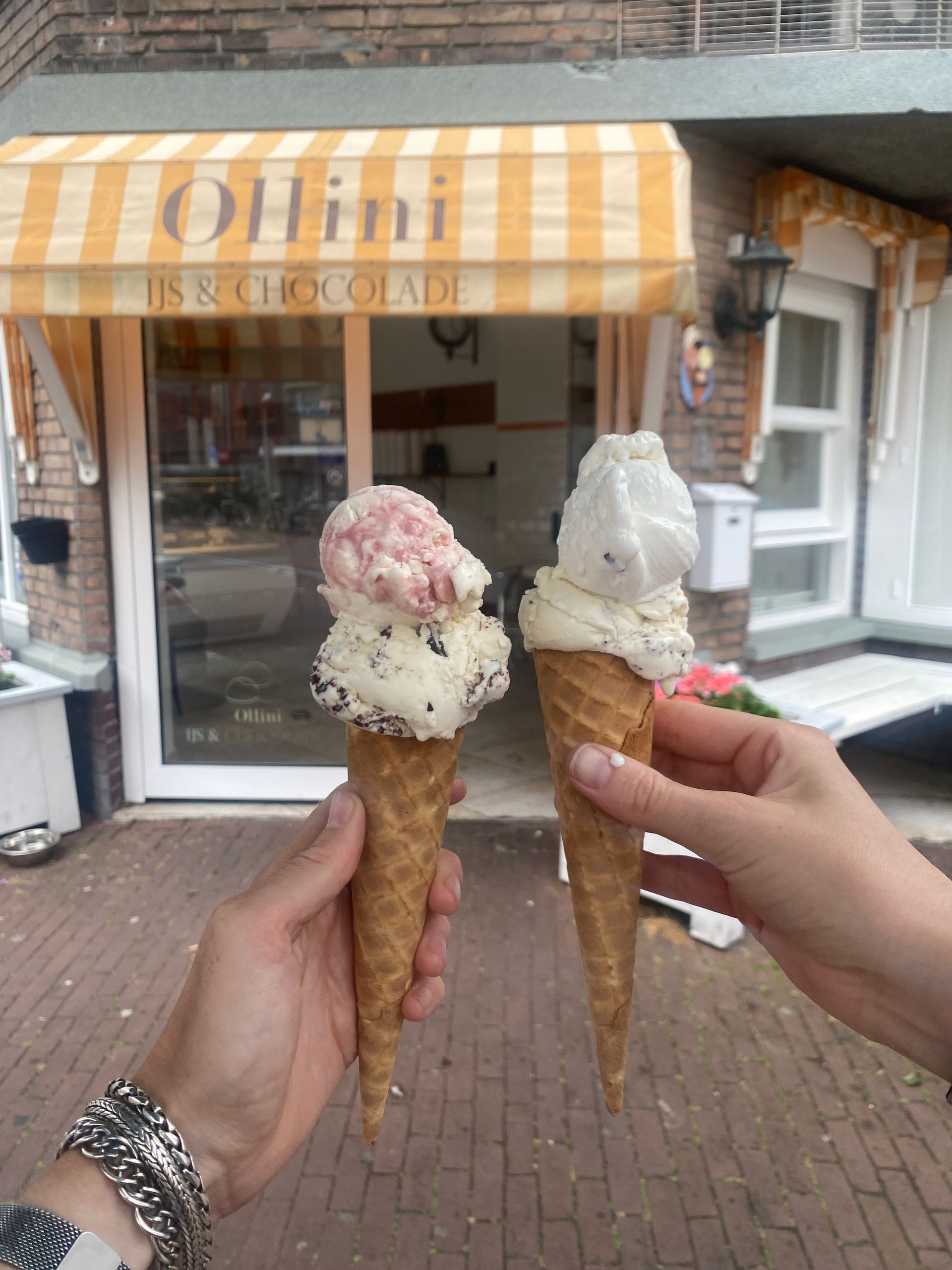 Vegan ijssalon Ollini | Groene Dromers