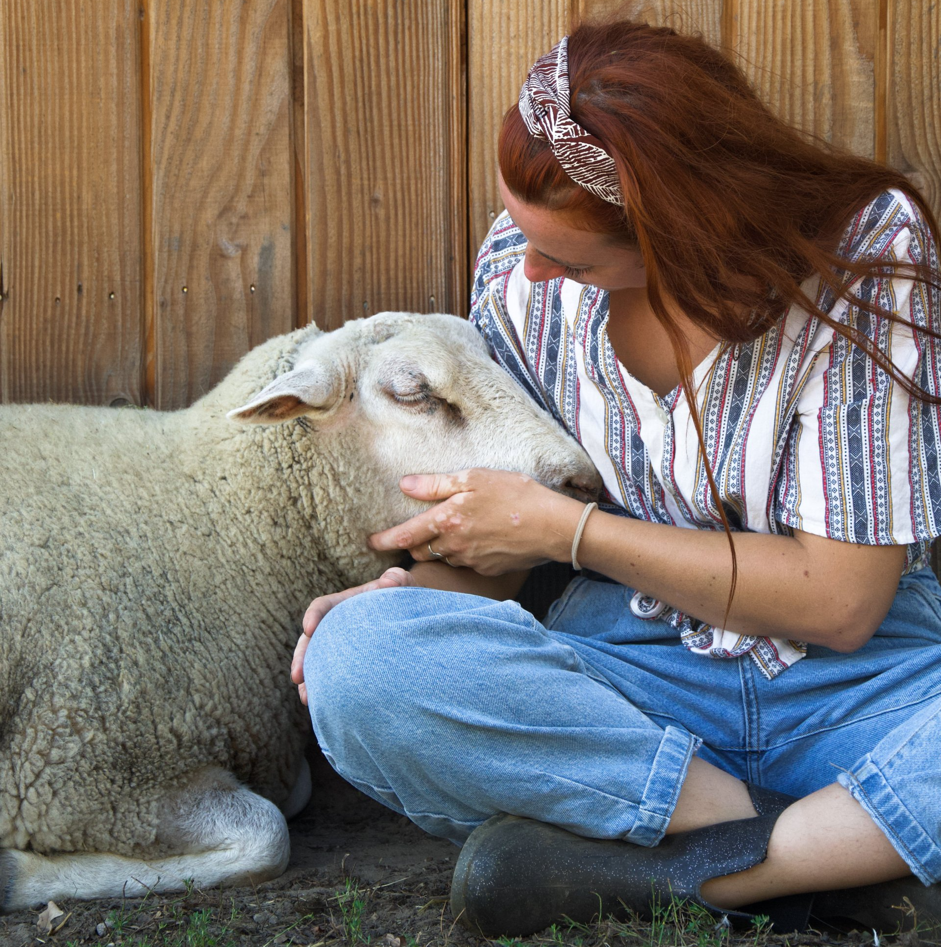 | Groene Dromers | inspirerende verhalen