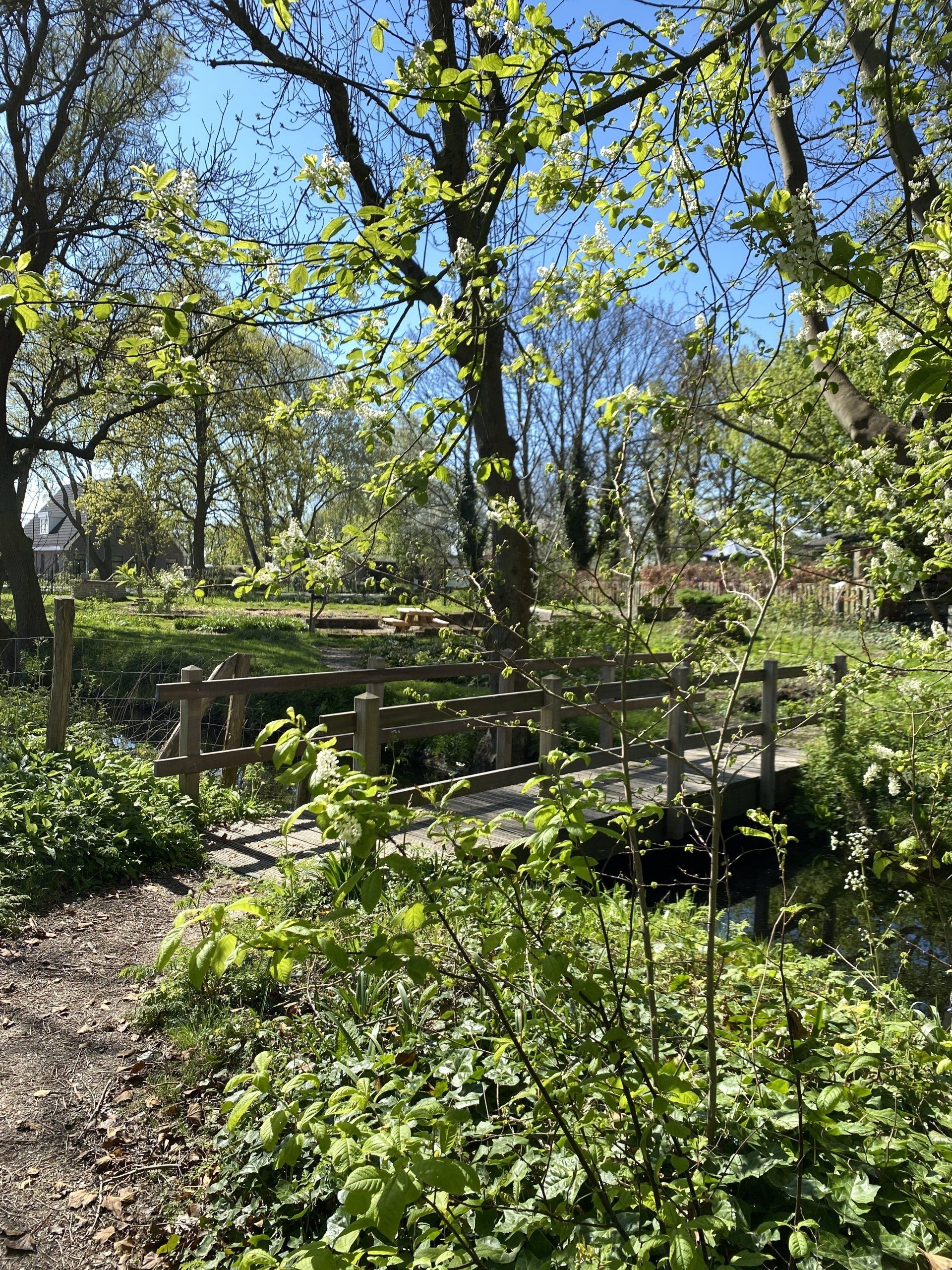 Het dwaalspoor | duurzaam uitje | Wildplukwandeling | Groene Dromers
