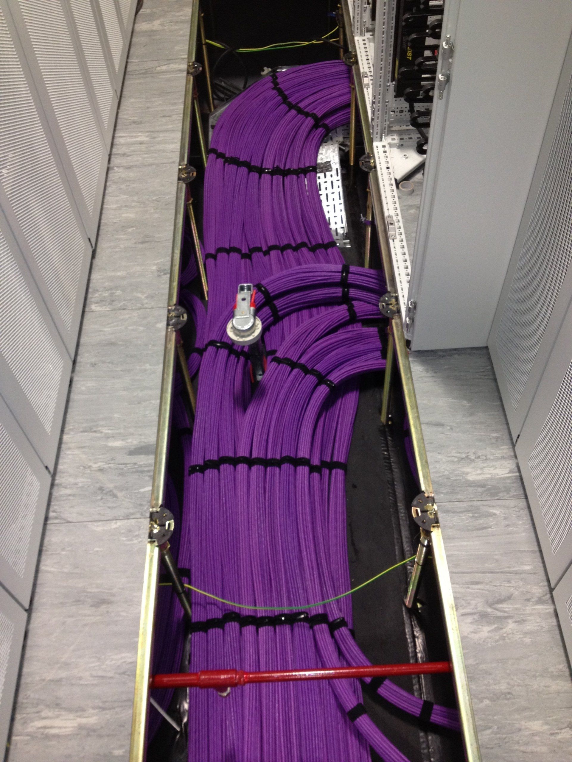 rows of purple data cables