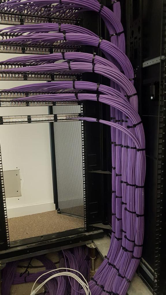 purple wires