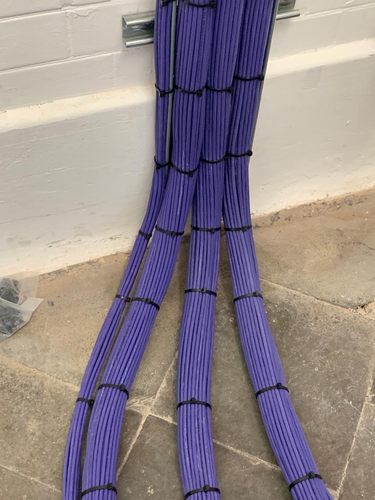 numerous purple cables