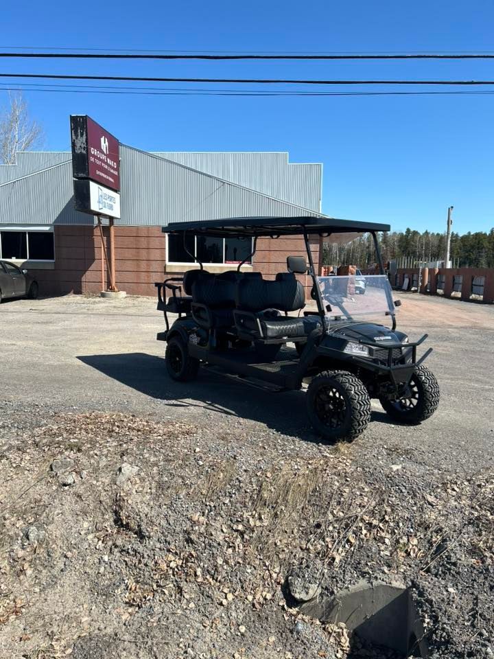 Voiturette de golf noire à six places garée devant un bâtiment en briques et en métal par une journée ensoleillée.