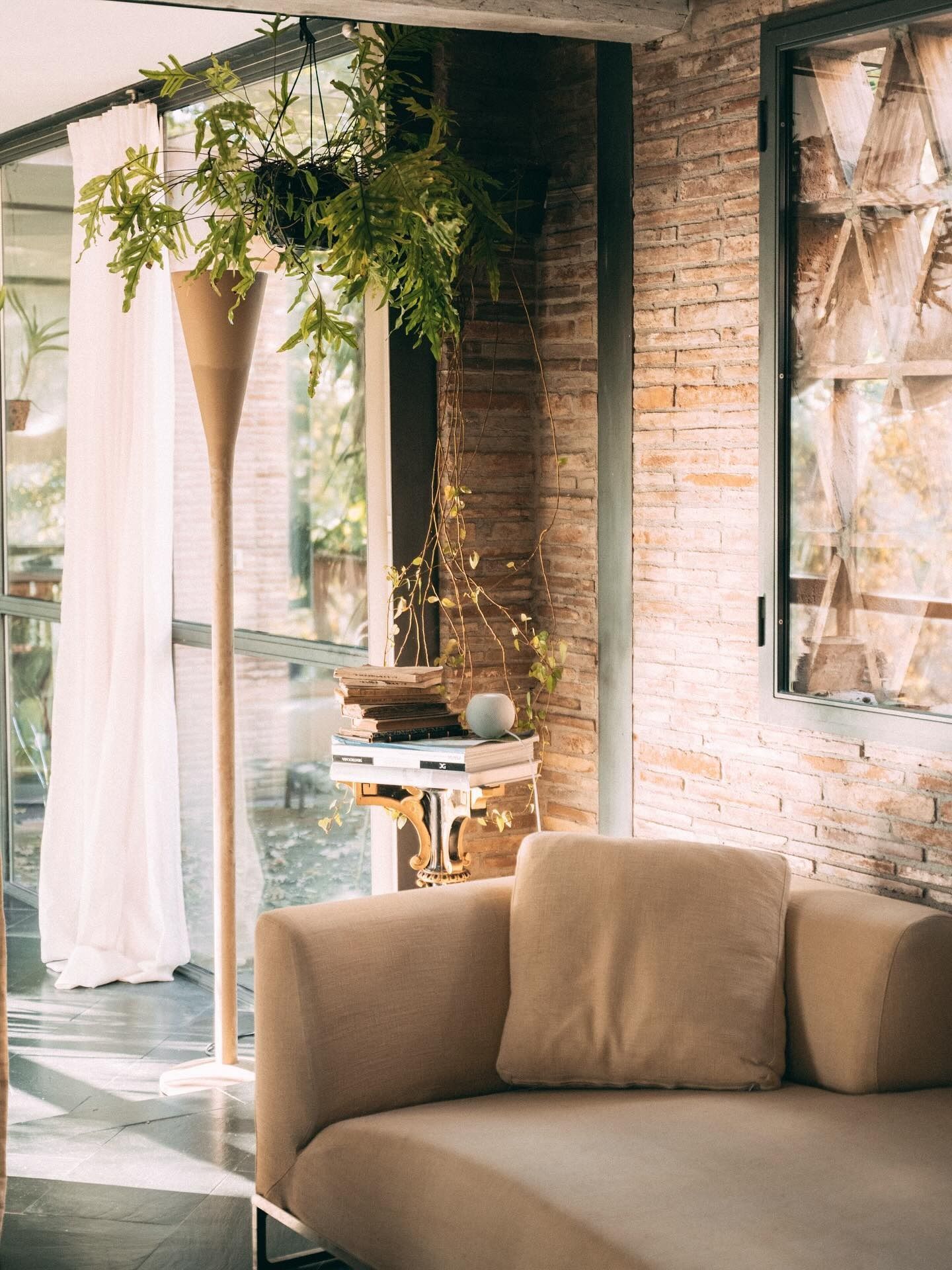 Accogliente ambiente interno: divano beige, muro di mattoni, pianta alta sospesa, tende trasparenti e luce solare.