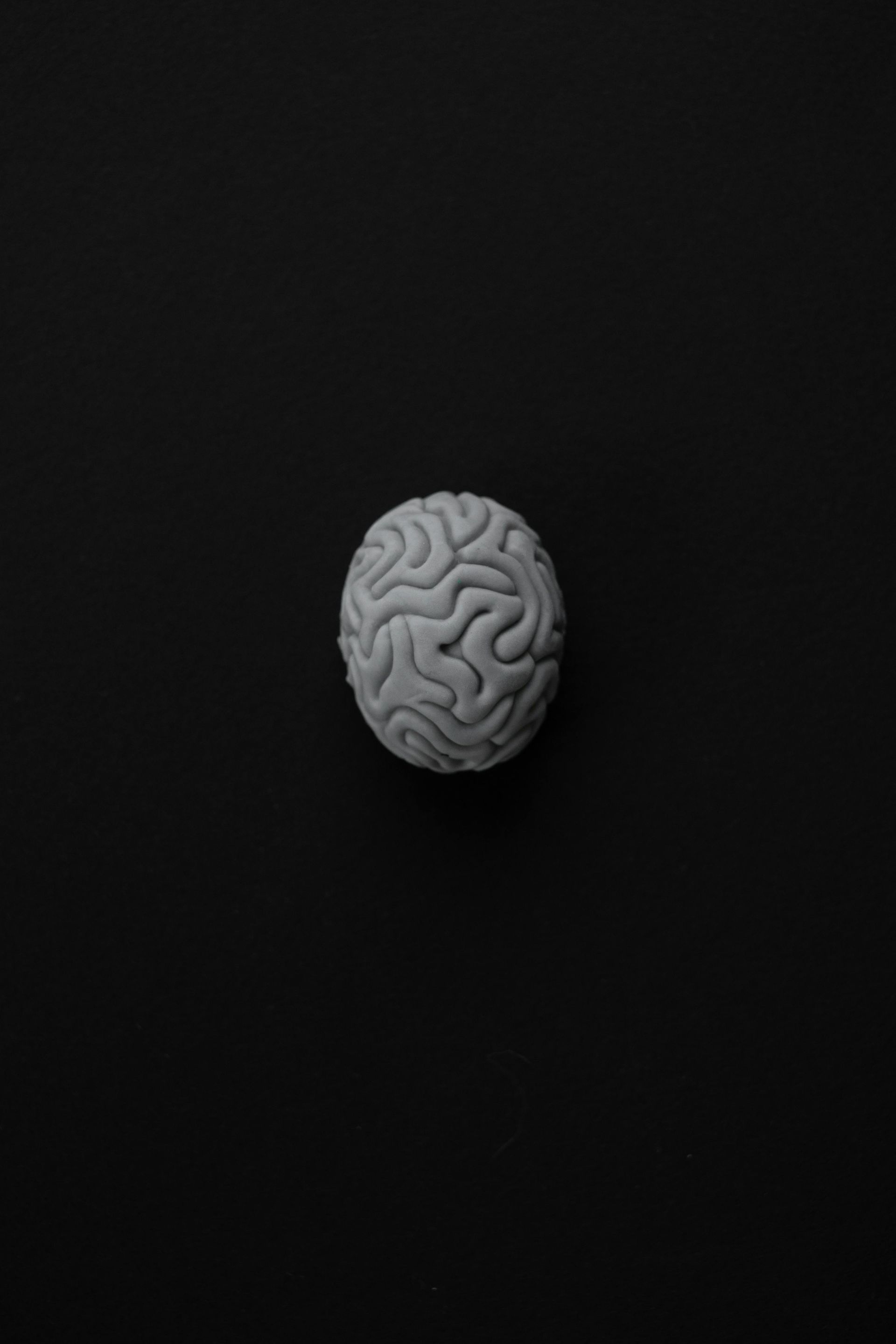 A white brain is sitting on a black background.