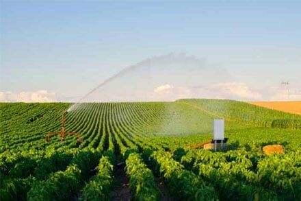 Sprinklers - Sprinklers & Irrigation Service in Chicopee, MA
