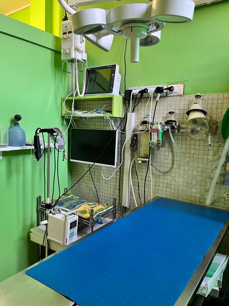 ambulatorio veterinario brambilla