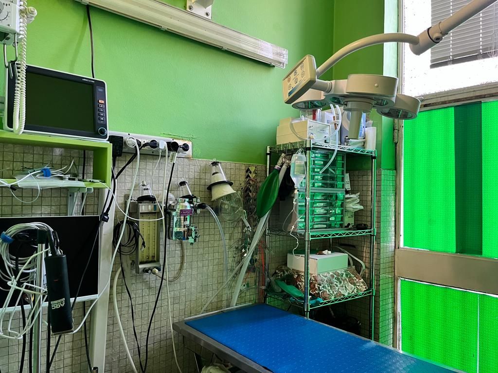 ambulatorio veterinario brambilla