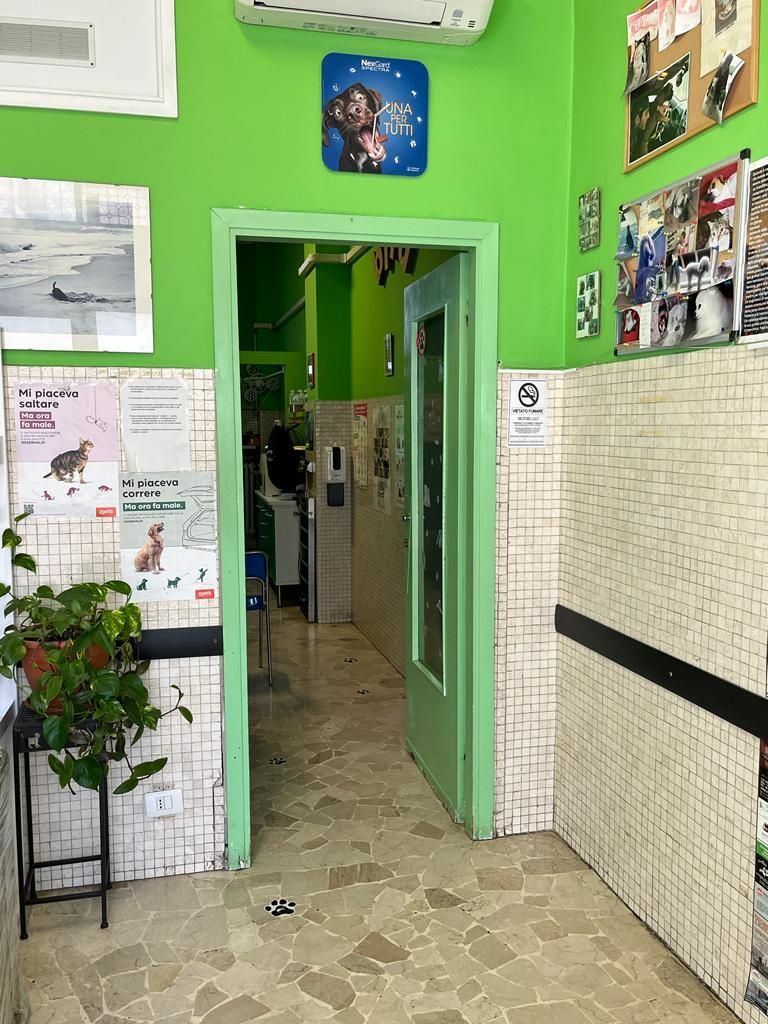 ambulatorio veterinario brambilla