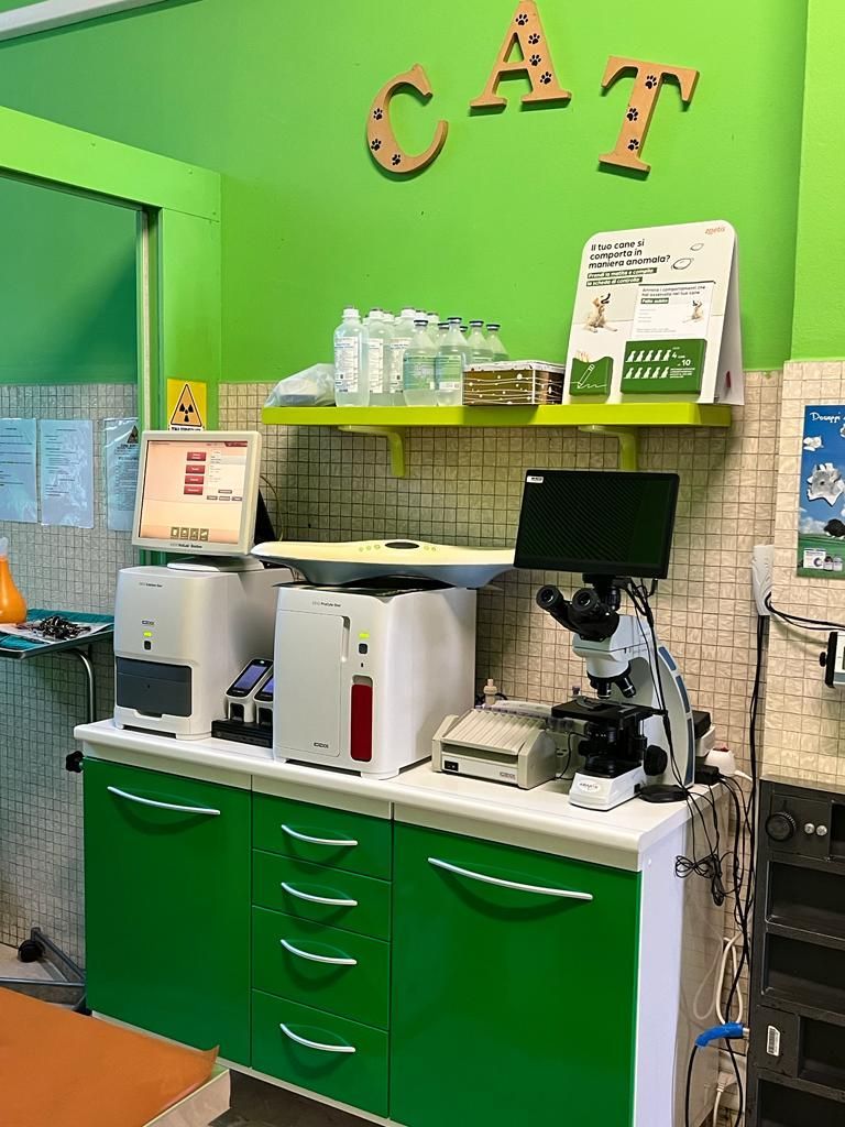 ambulatorio veterinario brambilla