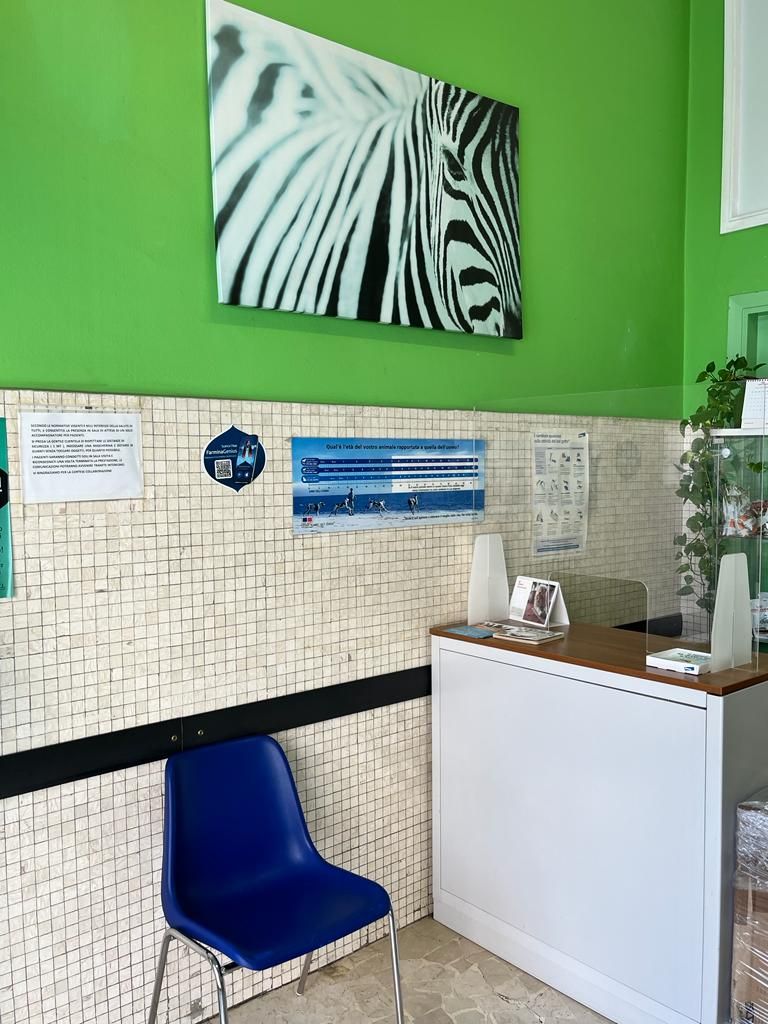 ambulatorio veterinario brambilla