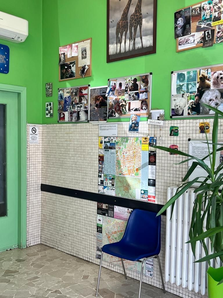 ambulatorio veterinario brambilla