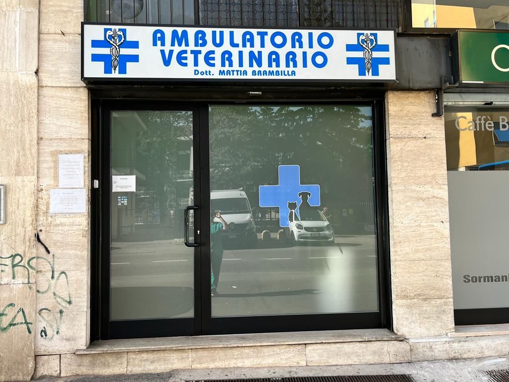 ambulatorio veterinario brambilla