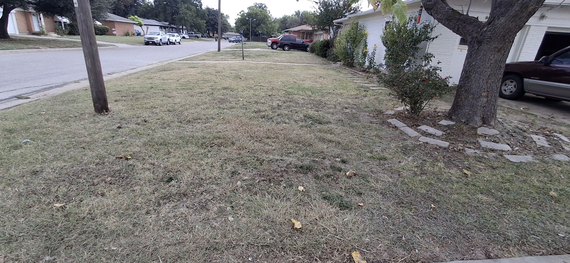 A residential street with a lawn in the foreground, a sidewalk, and parked cars.