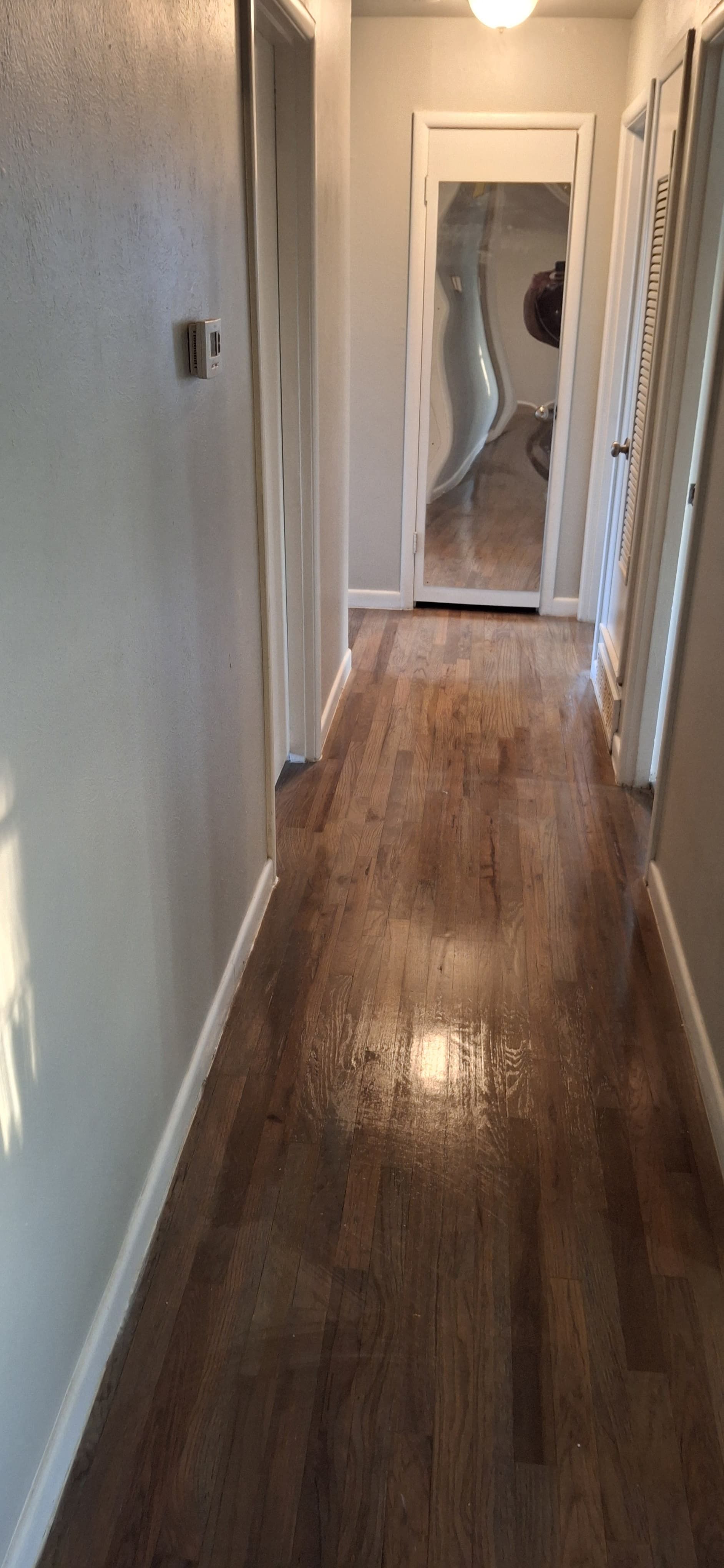 Hallway with hardwood floor, light gray walls, and several doorways. A mirror reflects the view.