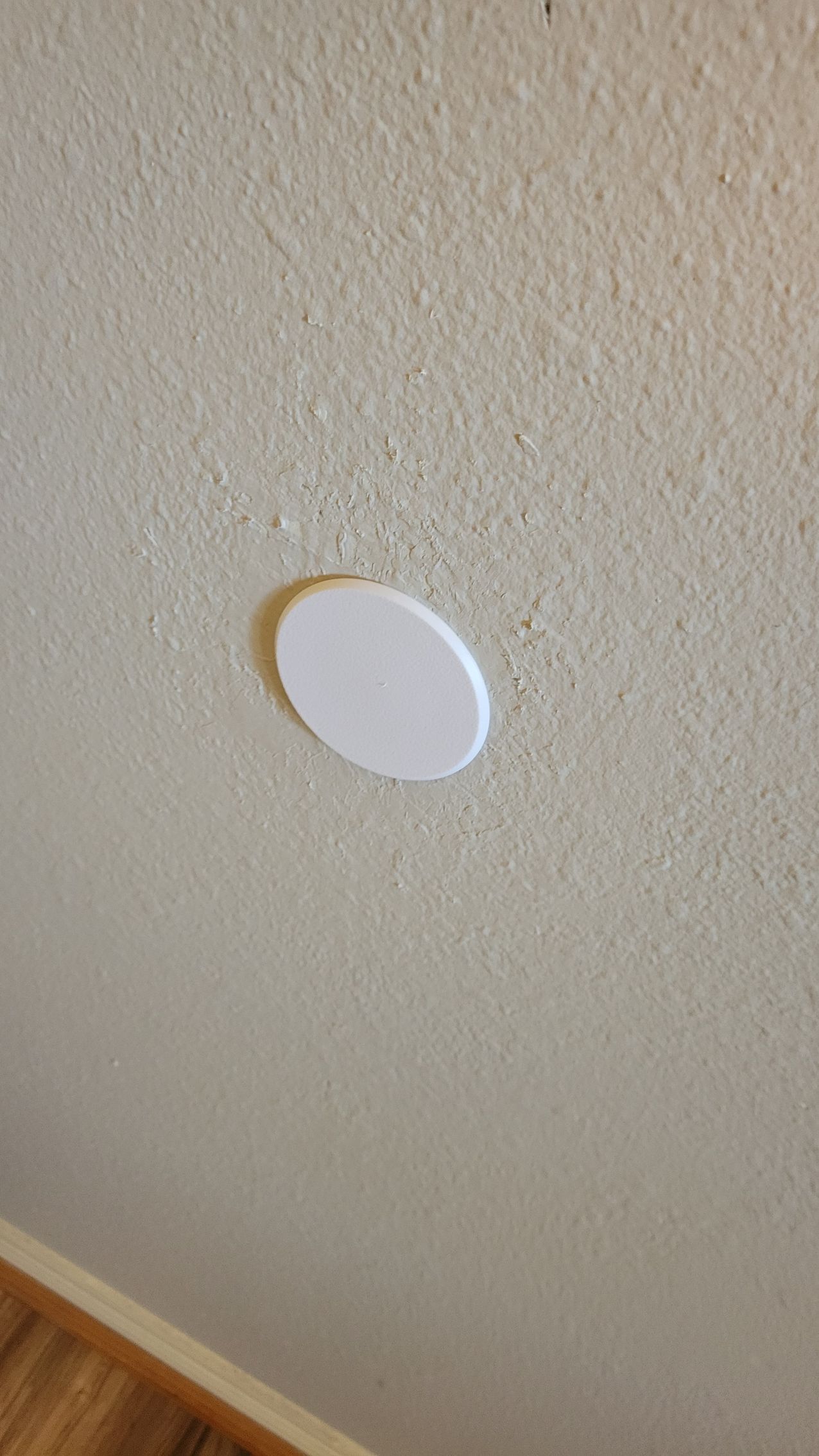 White oval ceiling plate on textured light-colored wall, above wooden floor.