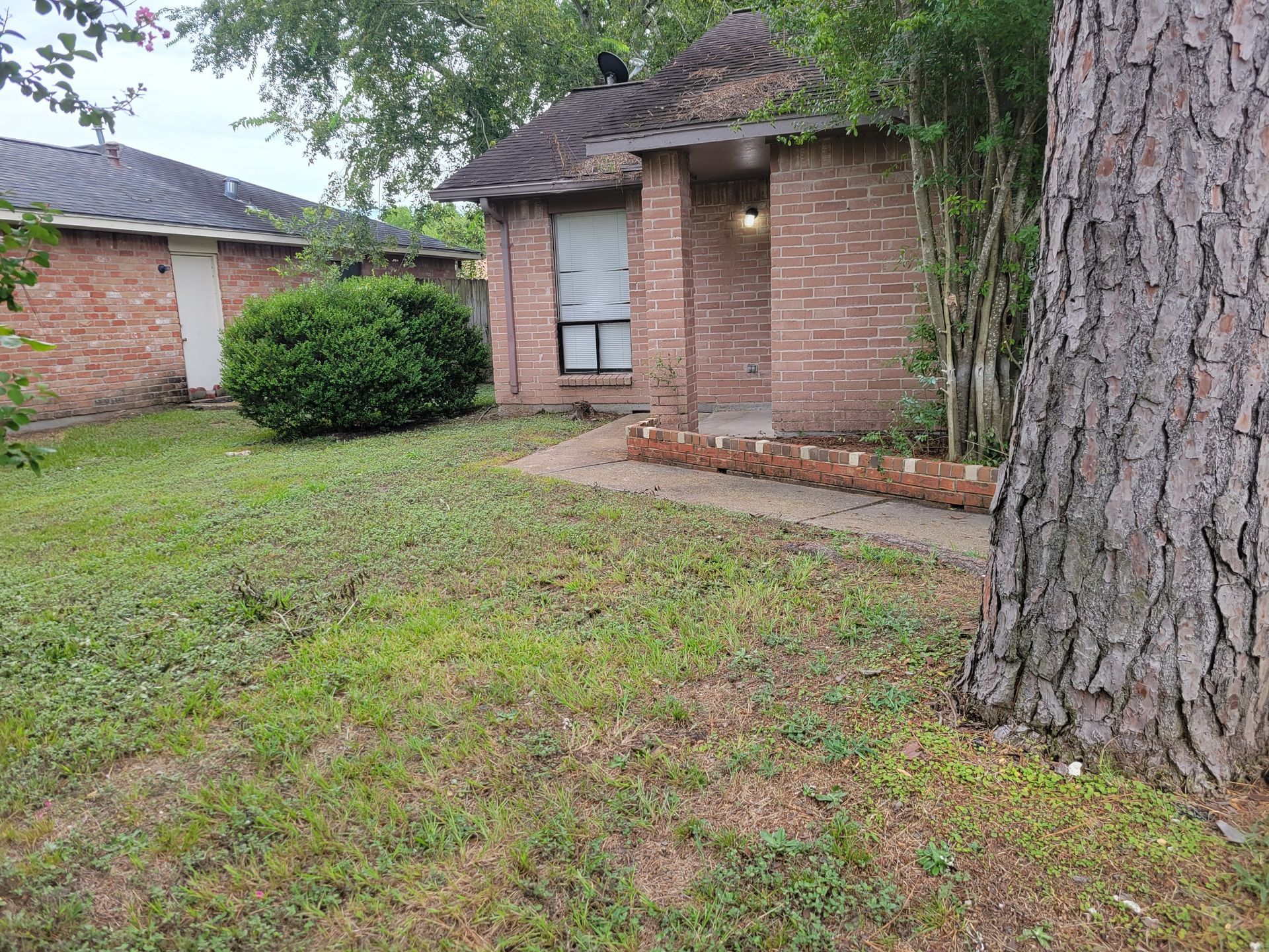 Brick house with a small yard, walkway, and a large tree in the foreground.