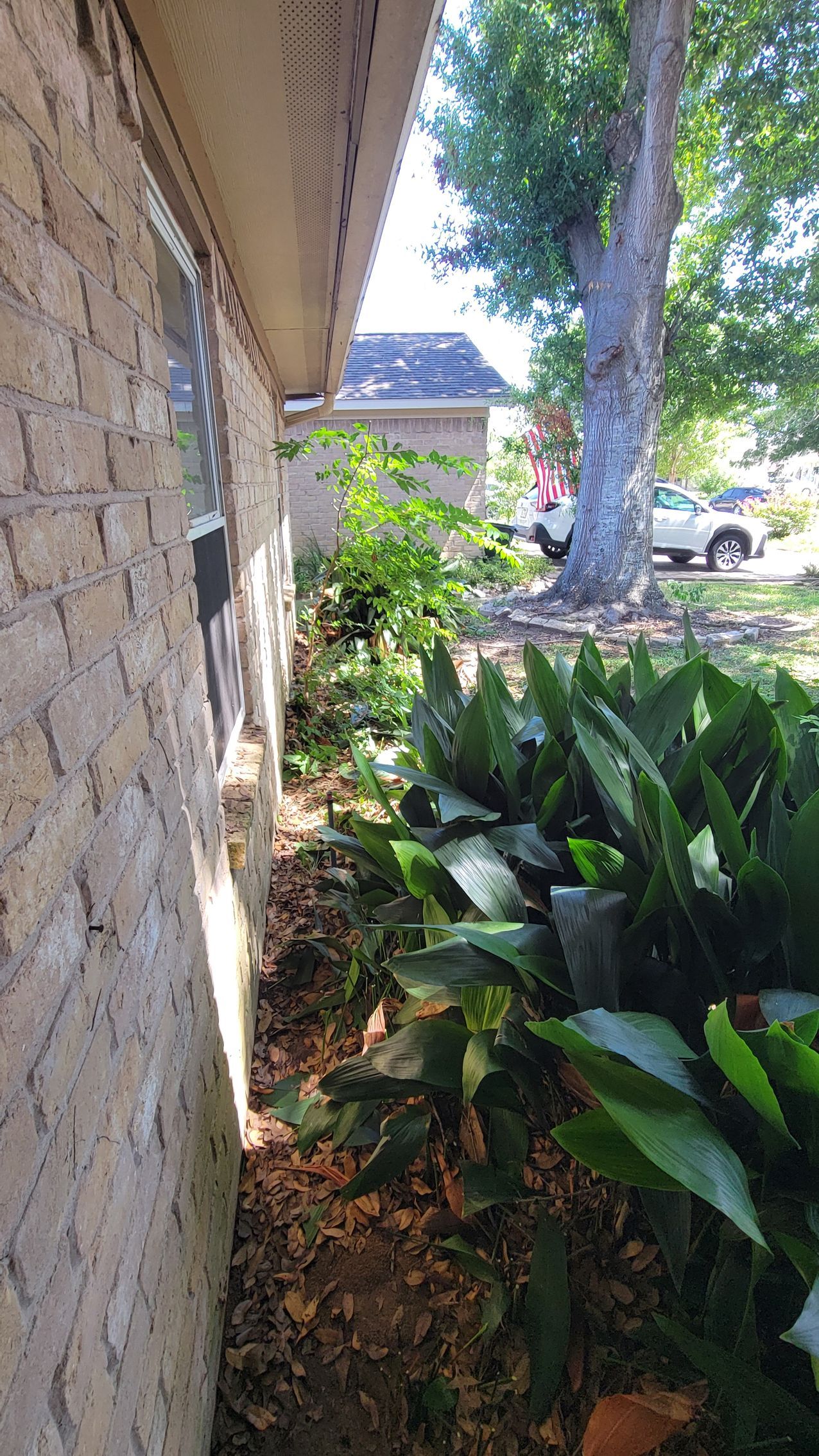 Brick wall with overgrown plants and a tree in the background. Sunlight.