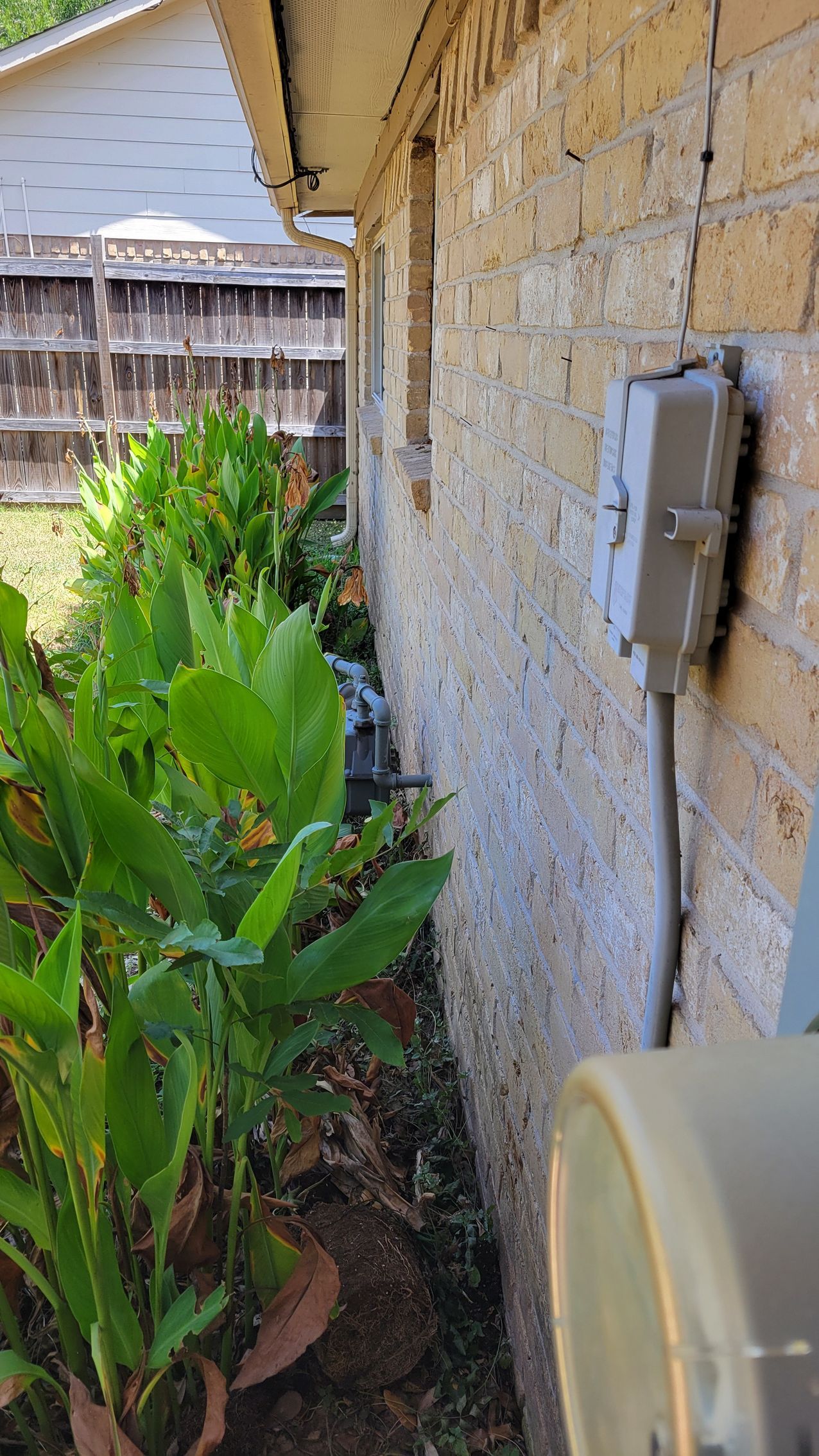 Brick wall with electrical box, next to foliage and a fence.
